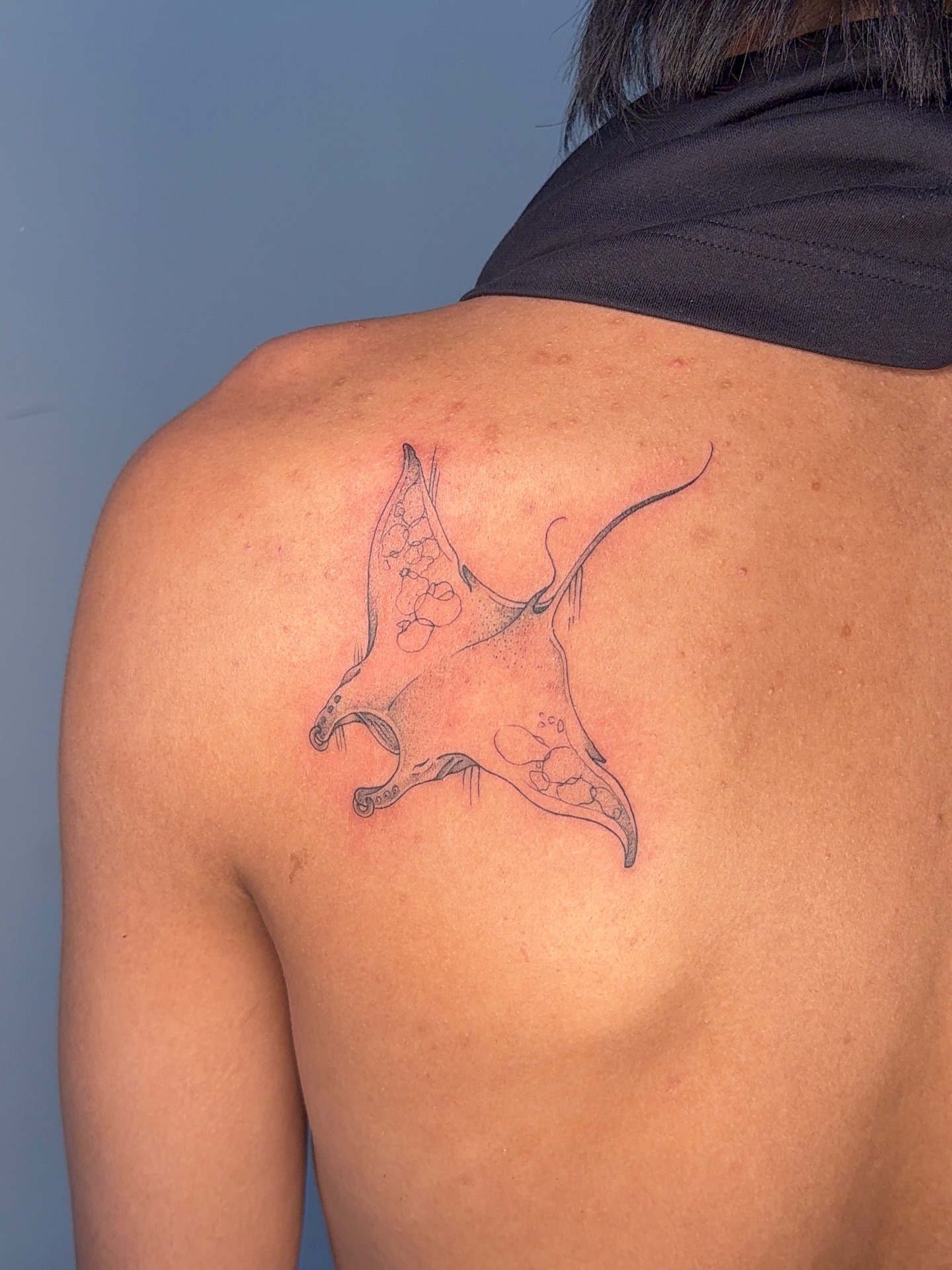 Manta ray black and grey tattoo on the back by aamora ꩜