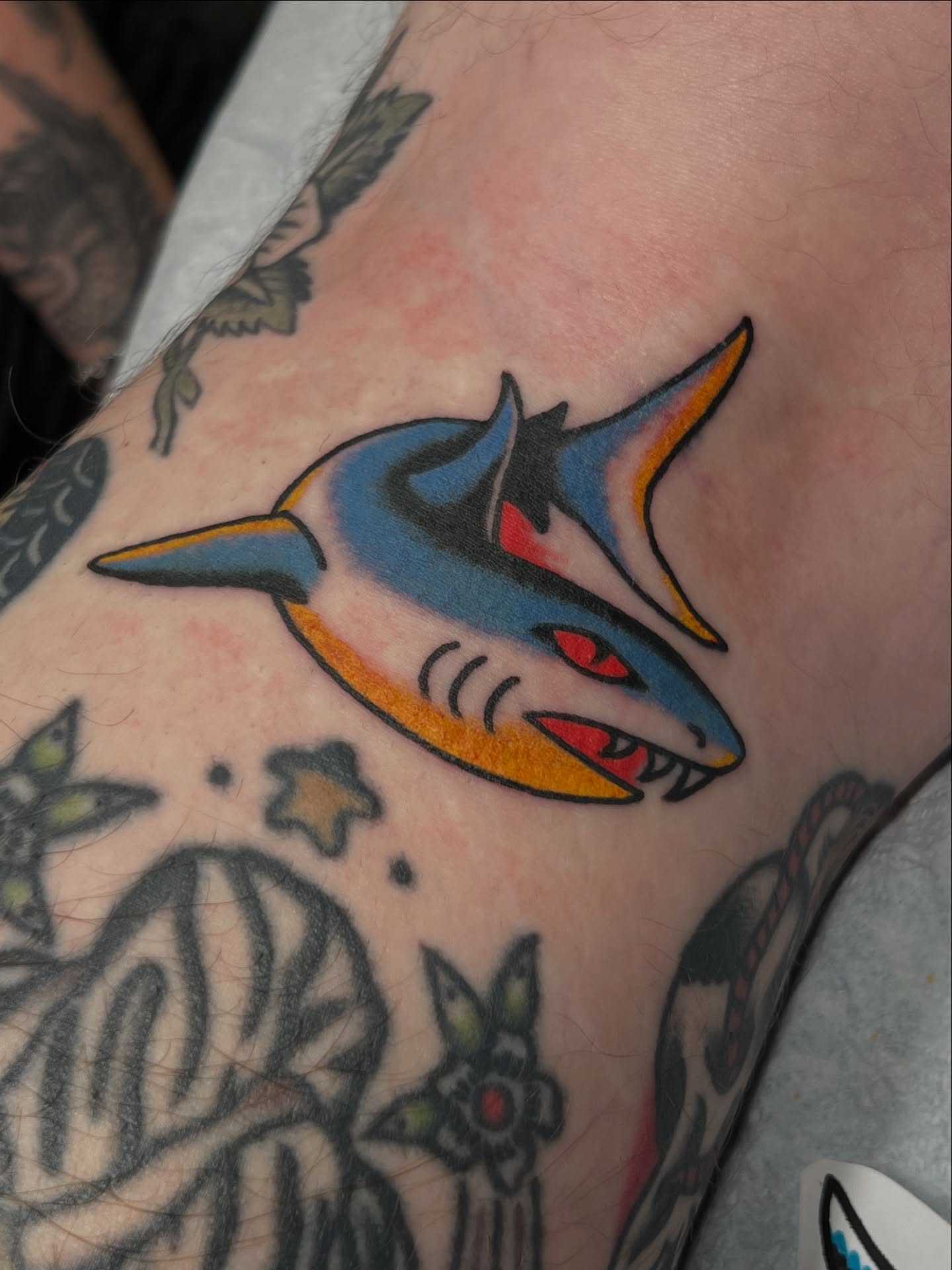Shark American traditional tattoo on the forearm by Cassidy Maples