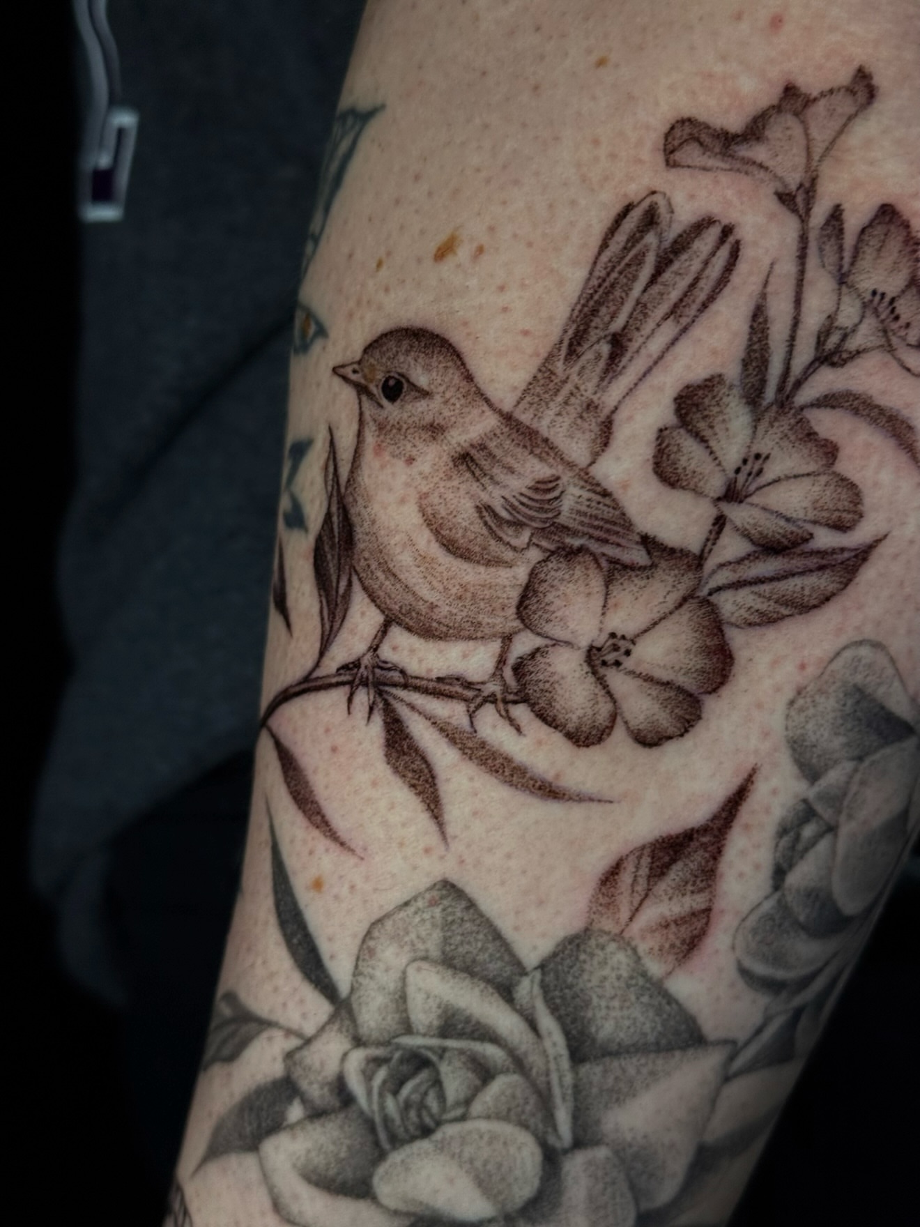 Bird and flowers dotwork tattoo on the forearm by Alyssa Fazzino ⟡ CT Tattoo Artist, Rocky Hill, Connecticut