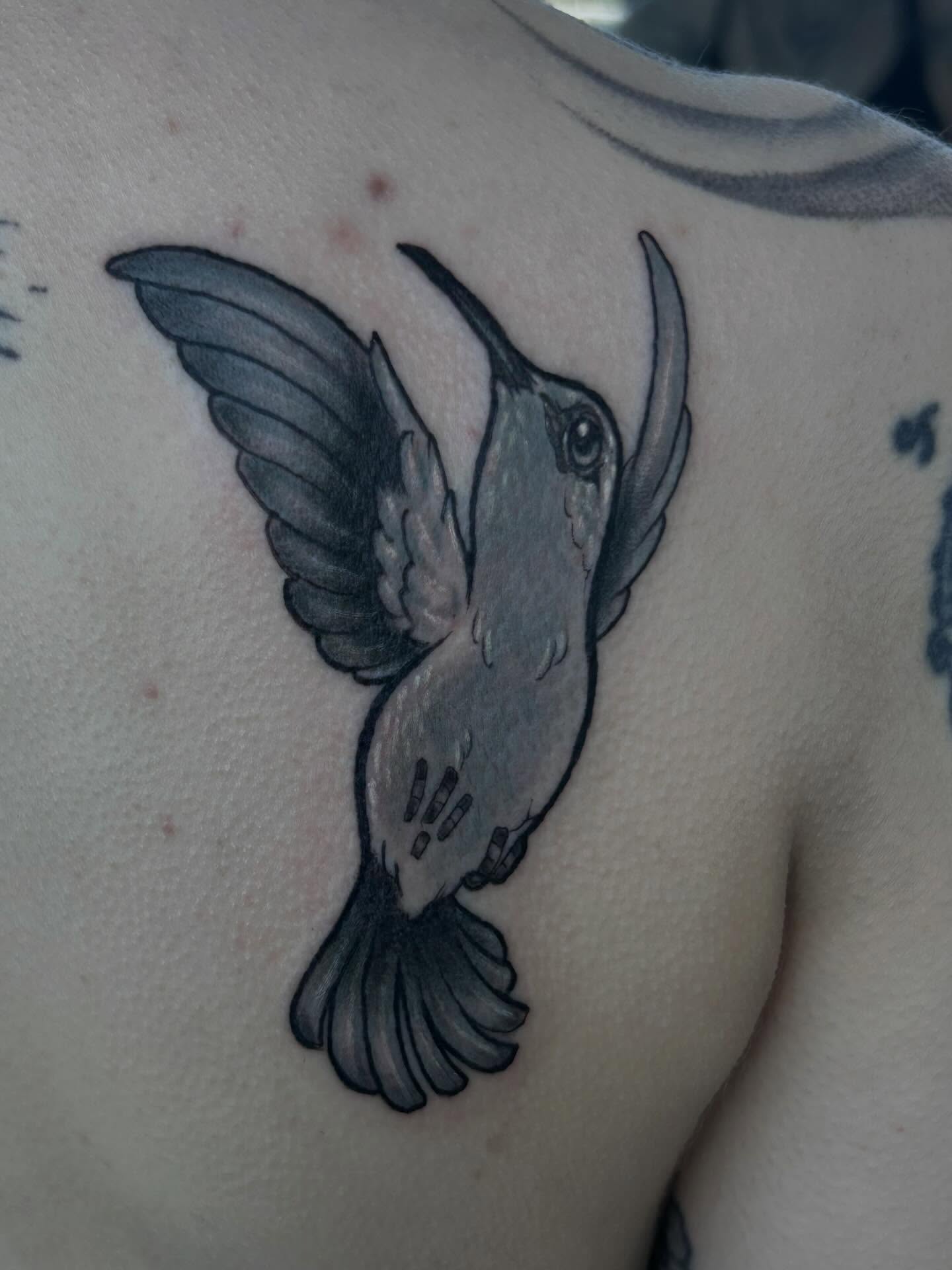 Hummingbird black and grey tattoo on the shoulder by Nino