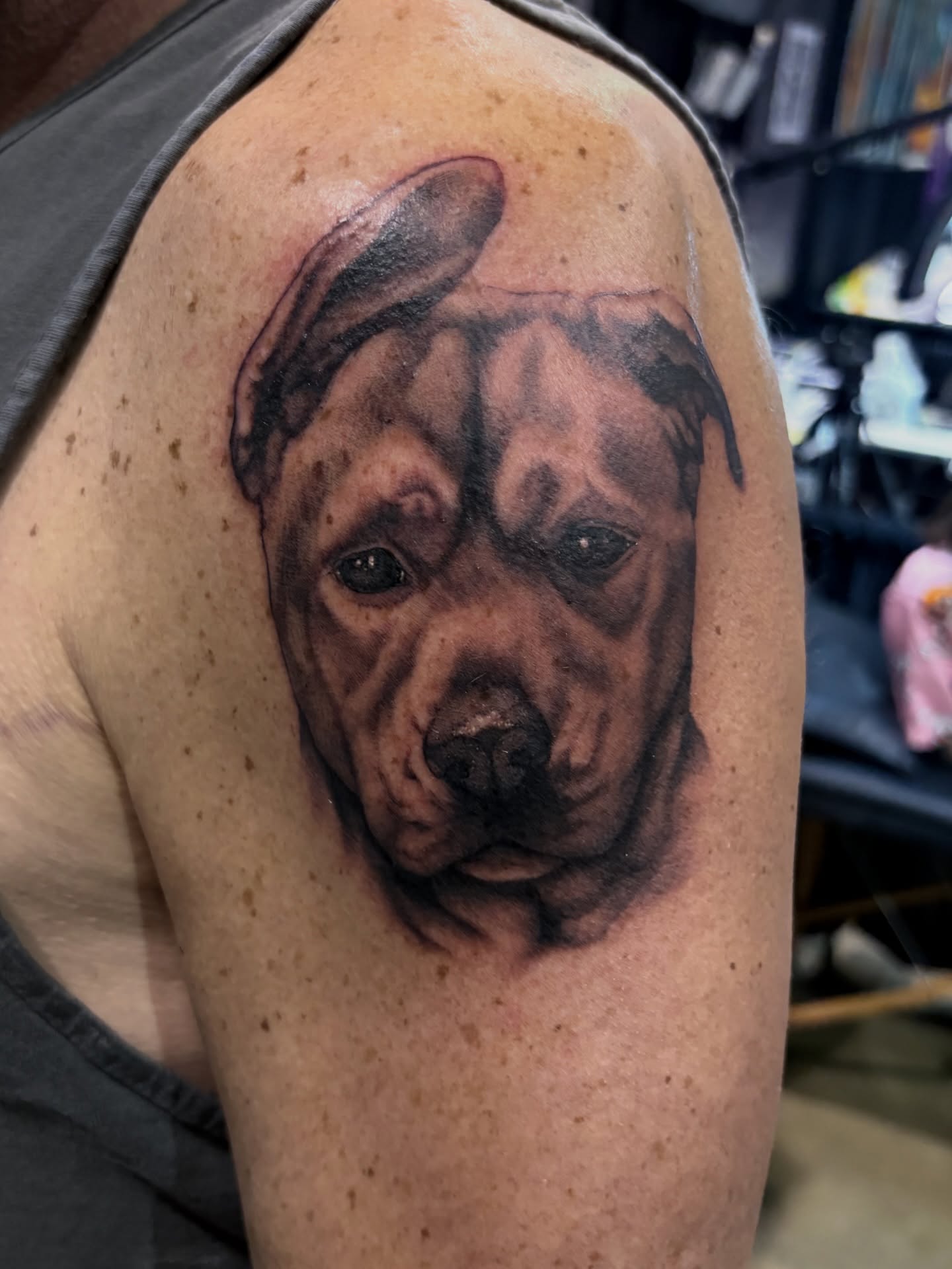 Pit bull realism tattoo on the shoulder by Eddie Wolfe