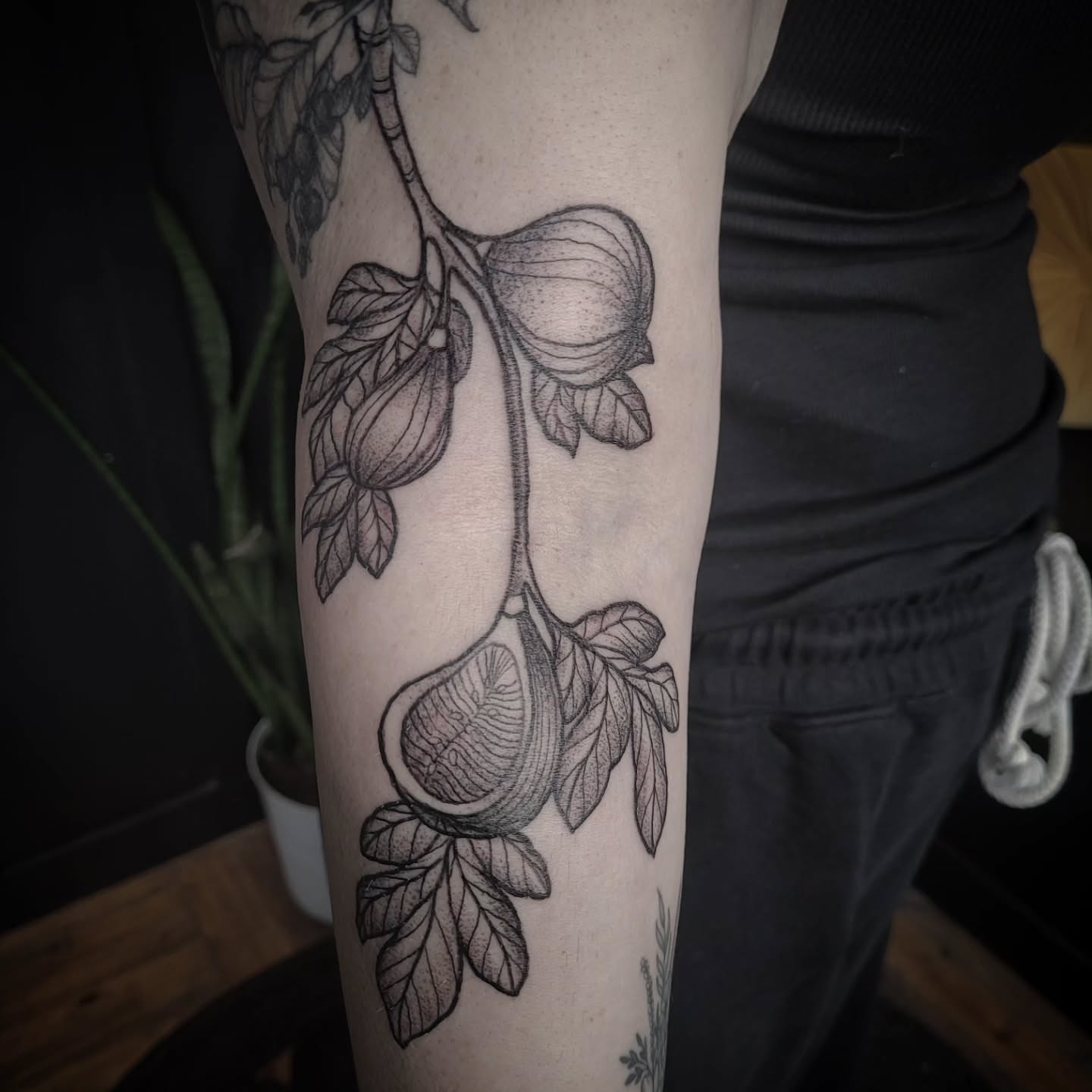 Figs and leaves black and grey tattoo on the forearm by Ashley Thomas, Midvale, Utah