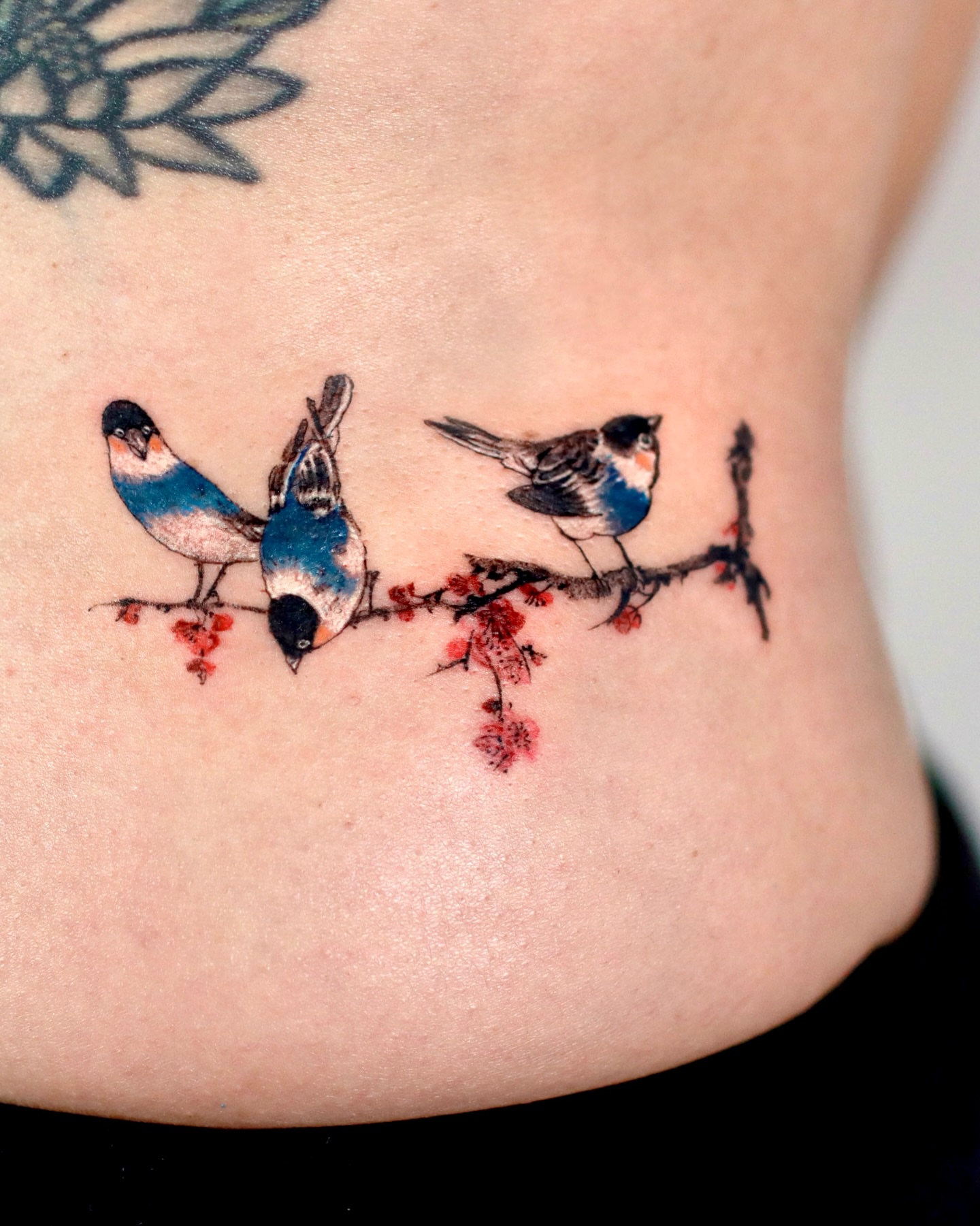 Birds on branch watercolor tattoo on the torso by Isle