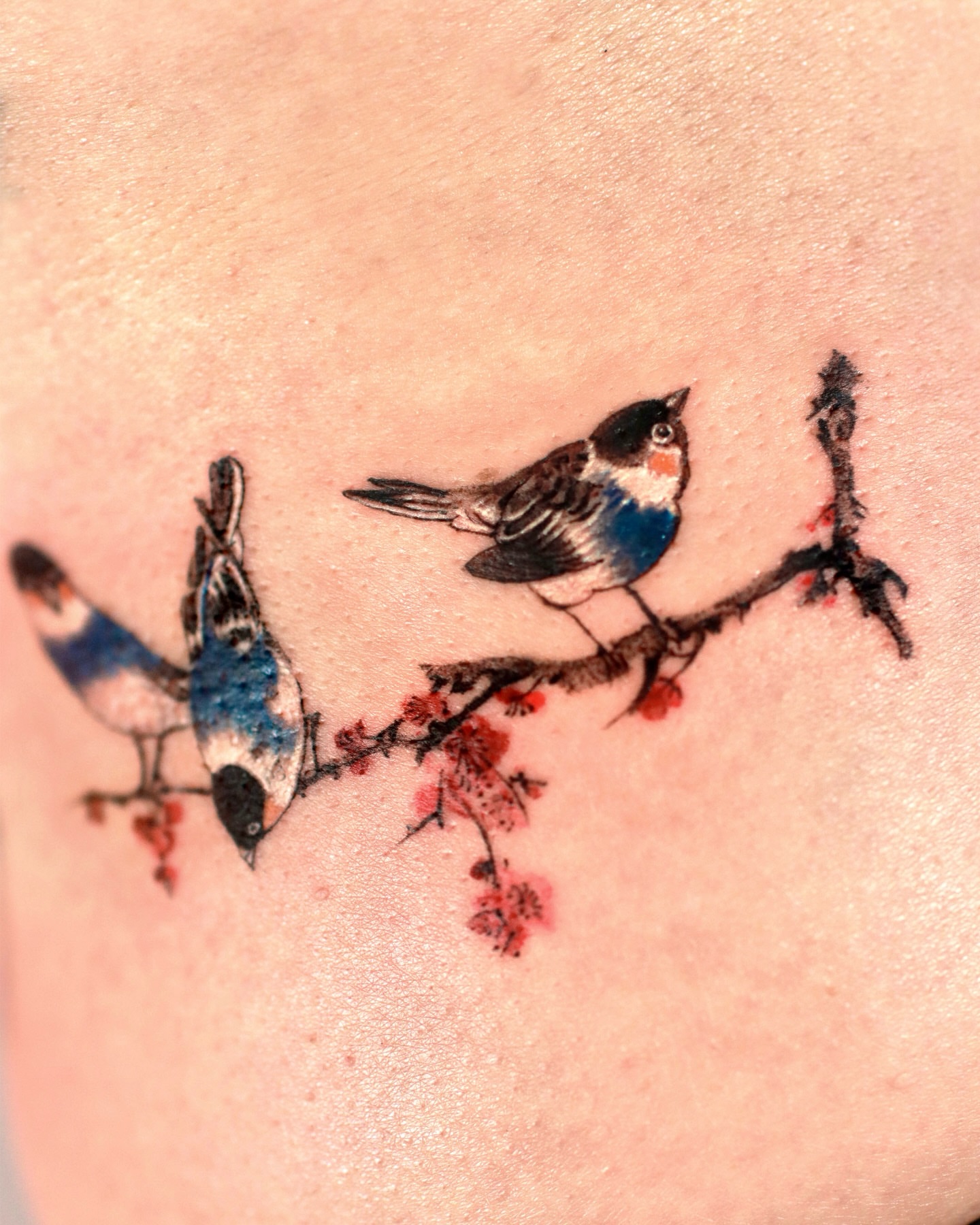 Birds on branch watercolor tattoo on the shoulder by Isle
