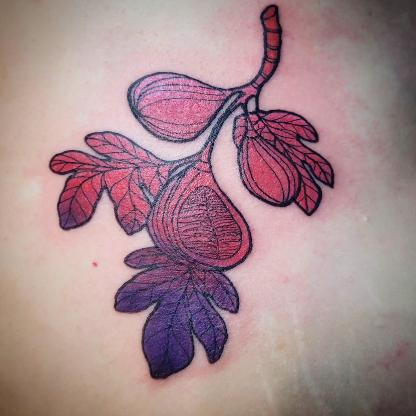 Figs and leaves new school tattoo on the chest by Ashley Thomas, Midvale, Utah
