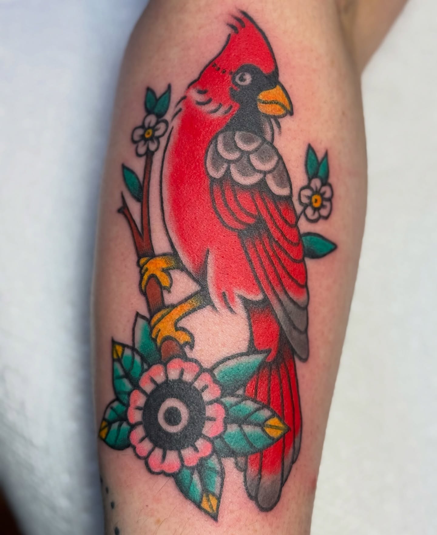Cardinal bird American traditional tattoo on the forearm by Bronzino Ink - Karen, Asheville, North Carolina