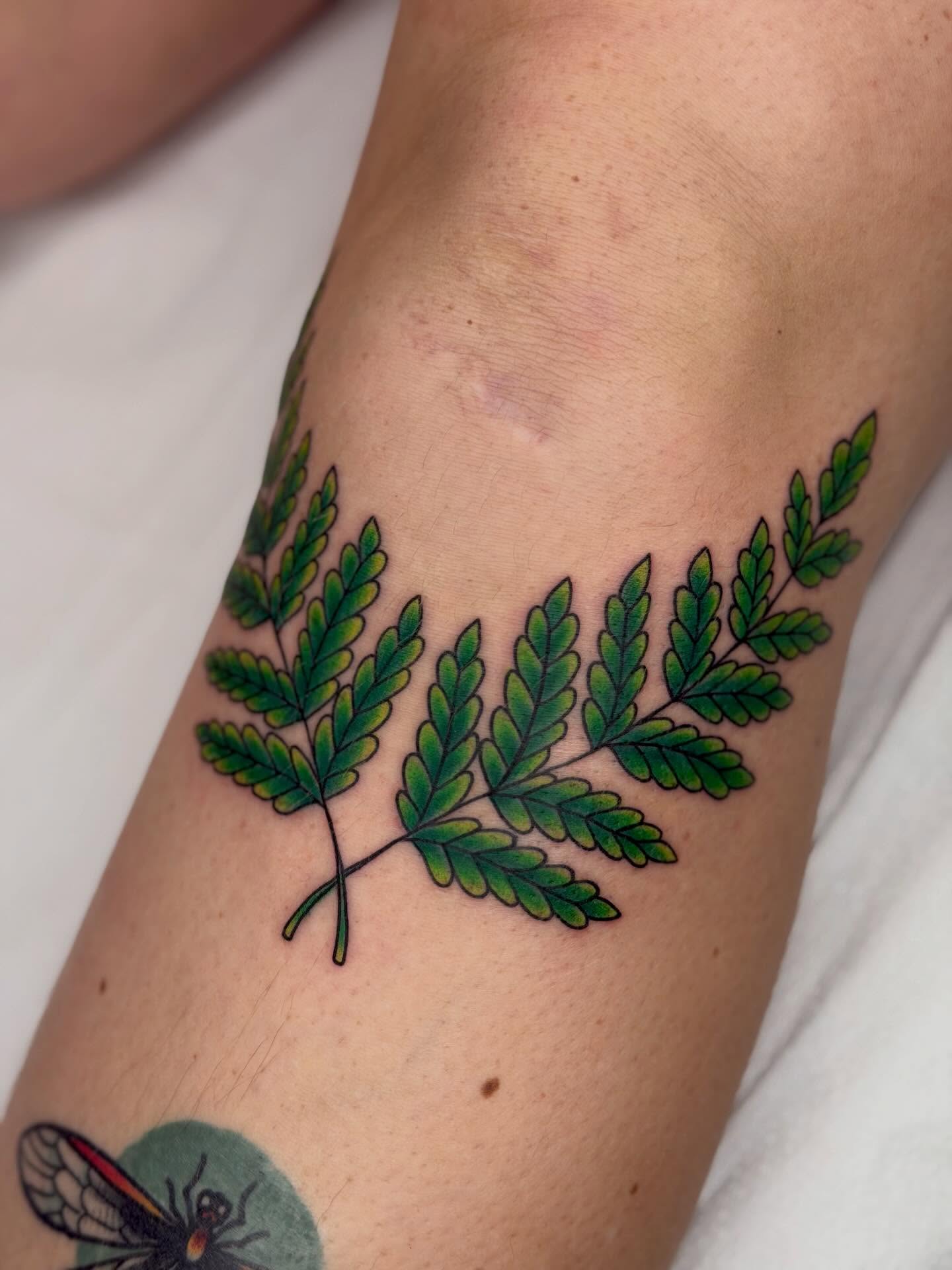 Fern leaf realism tattoo on the forearm by Beeker, Bellingham, Washington