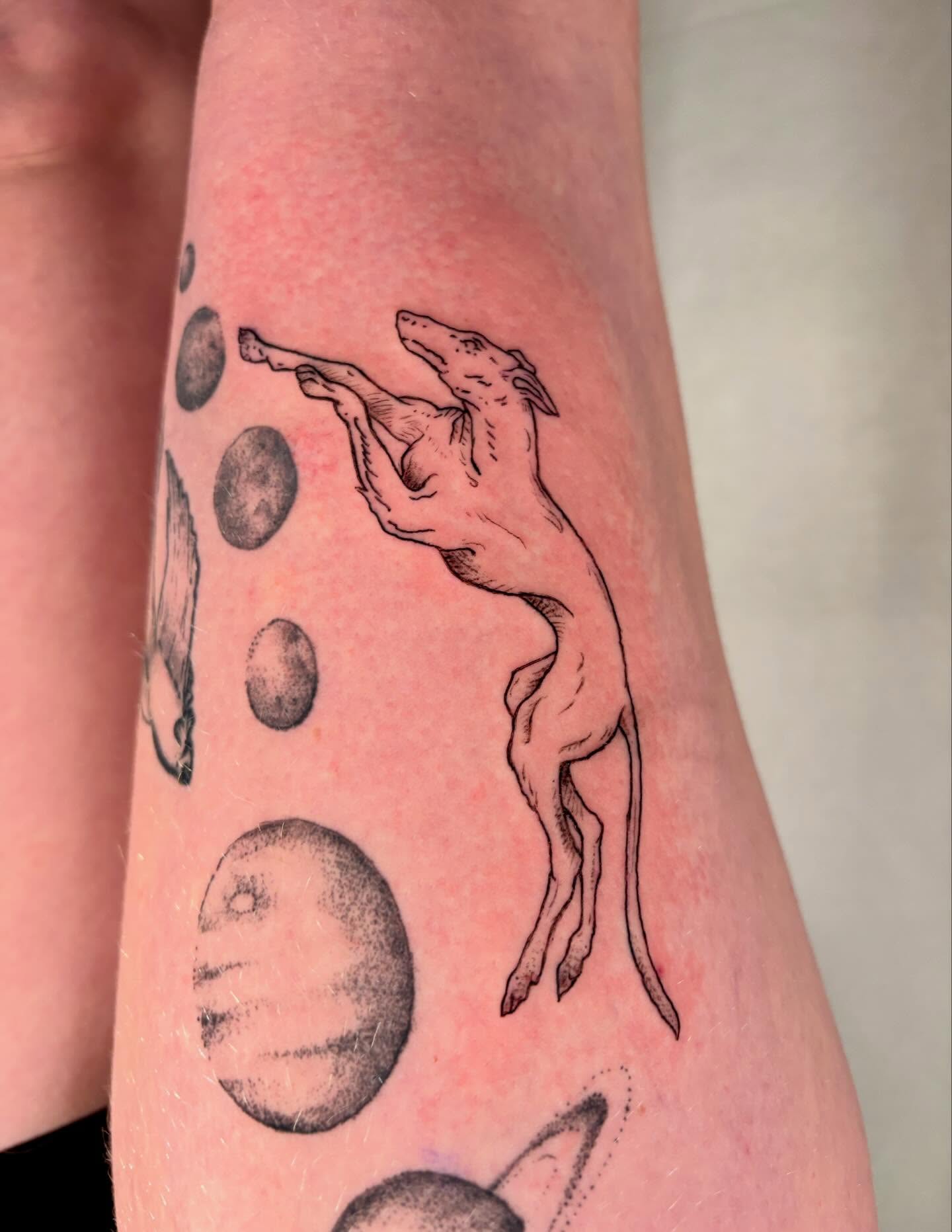 Dog reaching for planets dotwork tattoo on the forearm by Davie Tattoos