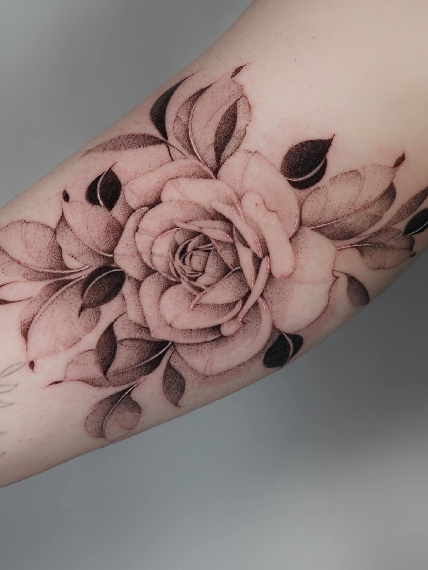 Rose dotwork tattoo on the forearm by Bel Fernandez