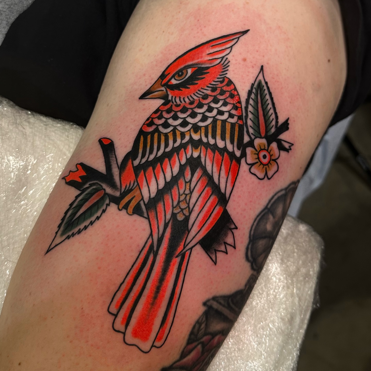 Cardinal bird American traditional tattoo on the forearm by A.j. Lingerfeldt, Nashville, Tennessee