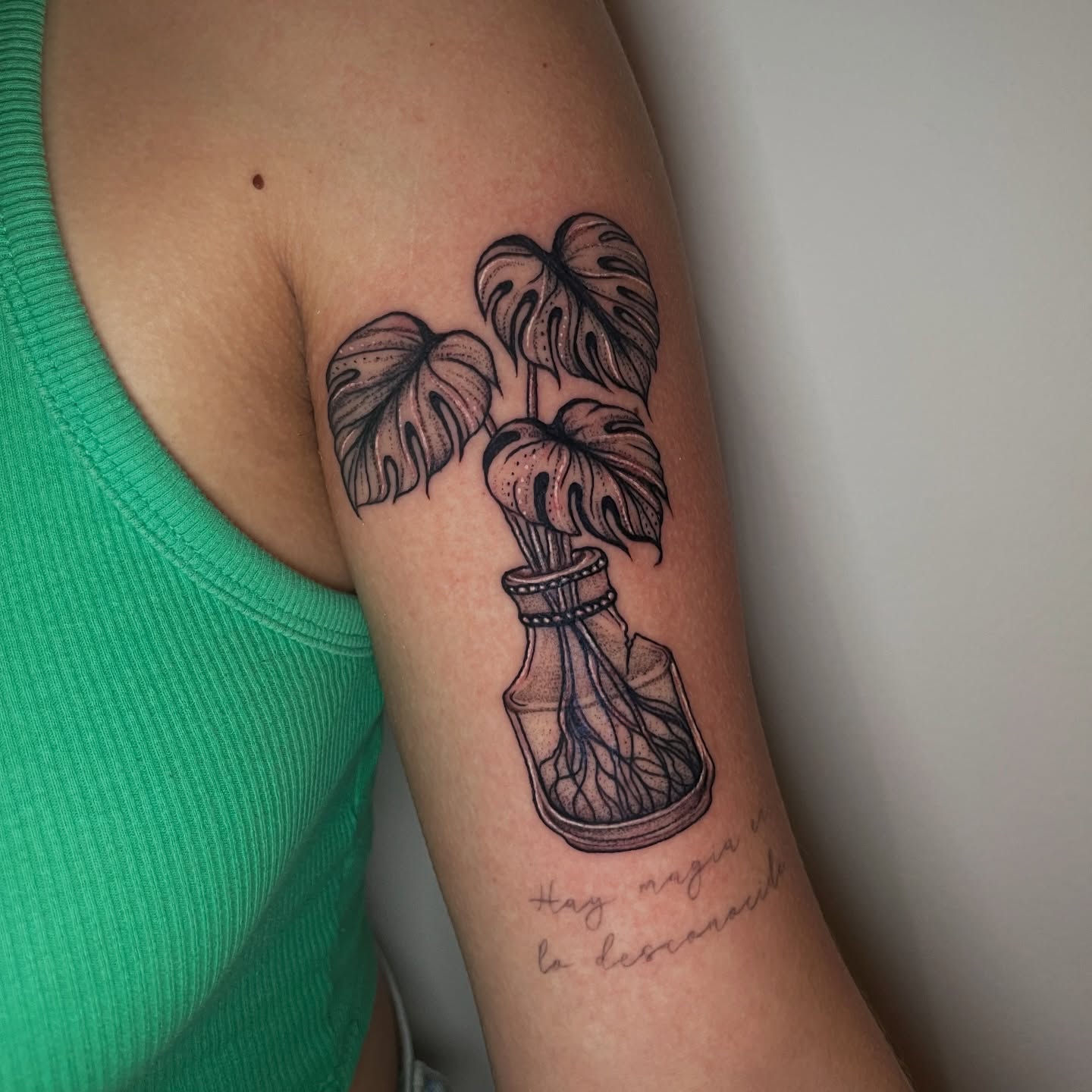 Monstera plant in bottle dotwork tattoo on the forearm by Elisa