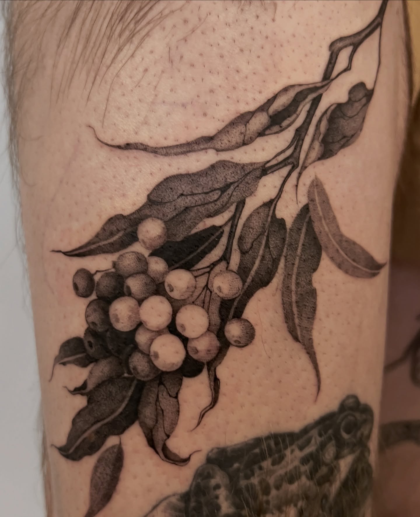 Berry branch black and grey tattoo on the forearm by 𝑱𝒖𝒍𝒊𝒂𝒏𝒏𝒂 𝑴𝒆𝒏𝒏𝒂✥𝑷𝒉𝒊𝒍𝒂𝒅𝒆𝒍𝒑𝒉𝒊𝒂✥𝑩𝒍𝒂𝒄𝒌 𝒂𝒏𝒅 𝑮𝒓𝒂𝒚