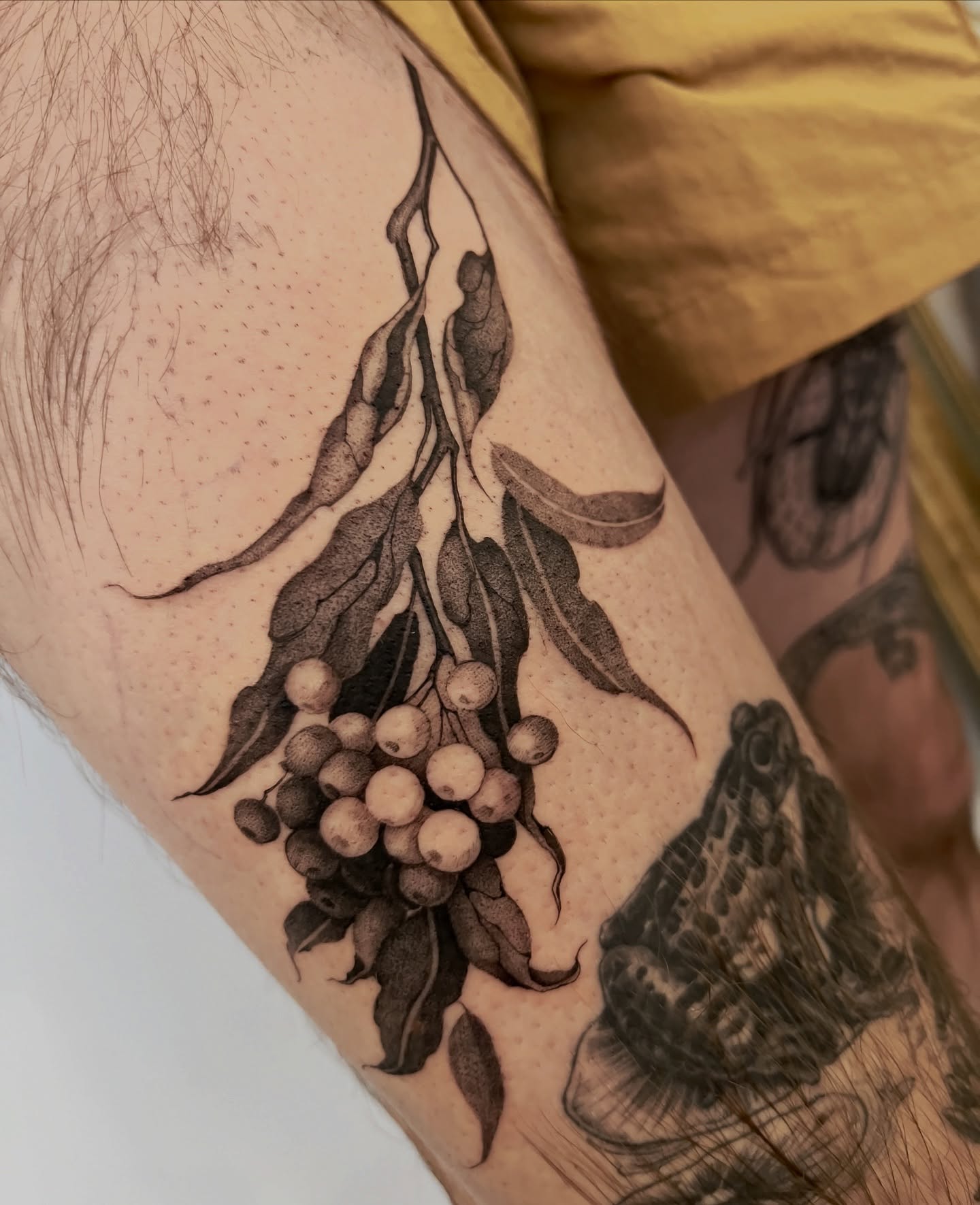 Berry cluster dotwork tattoo on the forearm by 𝑱𝒖𝒍𝒊𝒂𝒏𝒏𝒂 𝑴𝒆𝒏𝒏𝒂✥𝑷𝒉𝒊𝒍𝒂𝒅𝒆𝒍𝒑𝒉𝒊𝒂✥𝑩𝒍𝒂𝒄𝒌 𝒂𝒏𝒅 𝑮𝒓𝒂𝒚