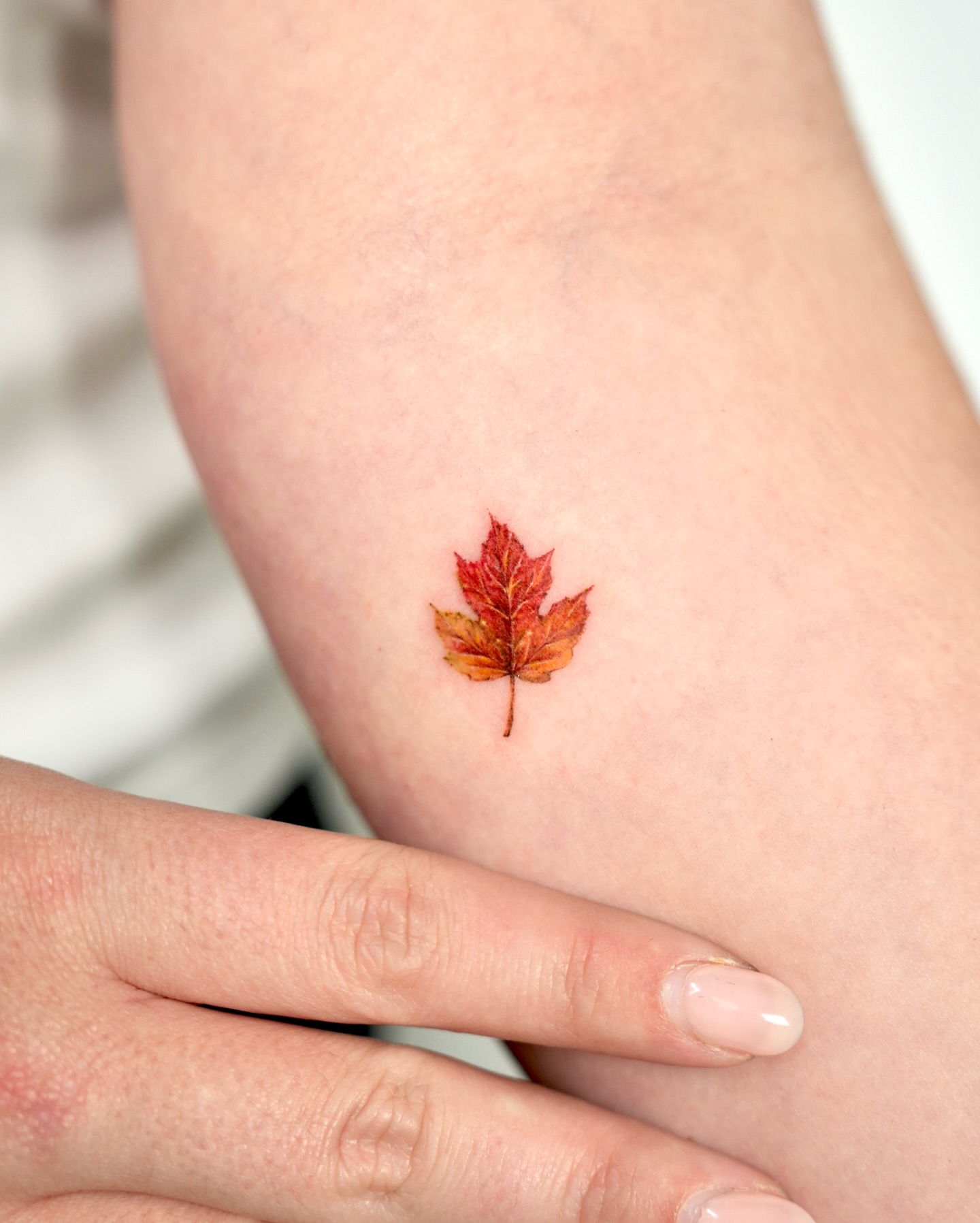 Tattoo by @tattooist_gaon — realism