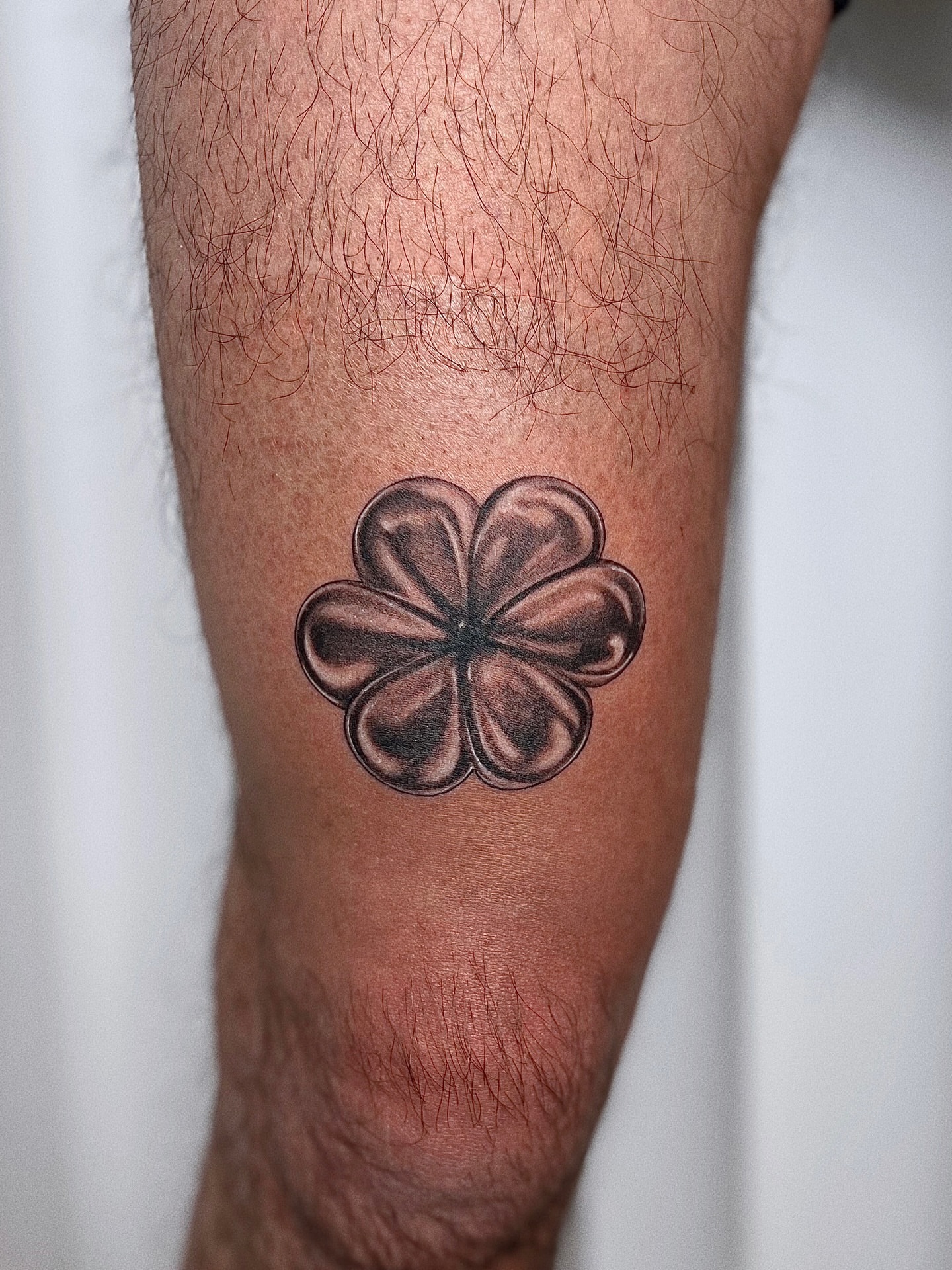 Four-leaf clover black and grey tattoo on the forearm by Soy 🫛