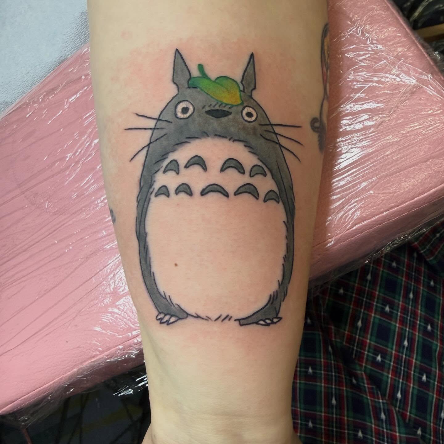 Totoro anime tattoo on the forearm by Bry