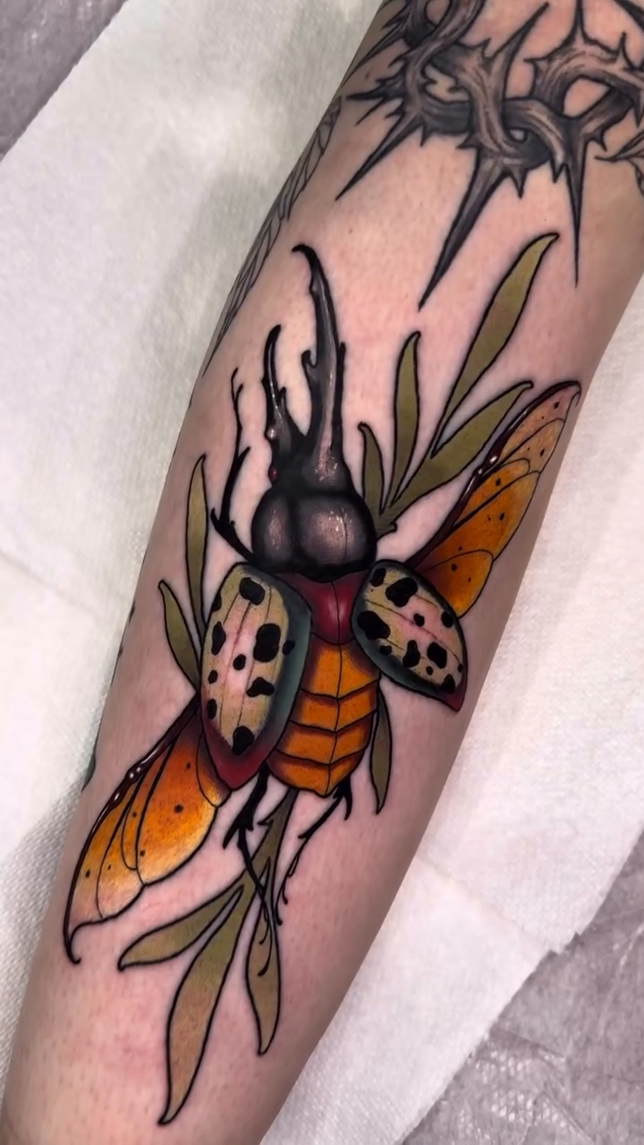 Tattoo by @loulou_tattoos — american_traditional, neo_traditional