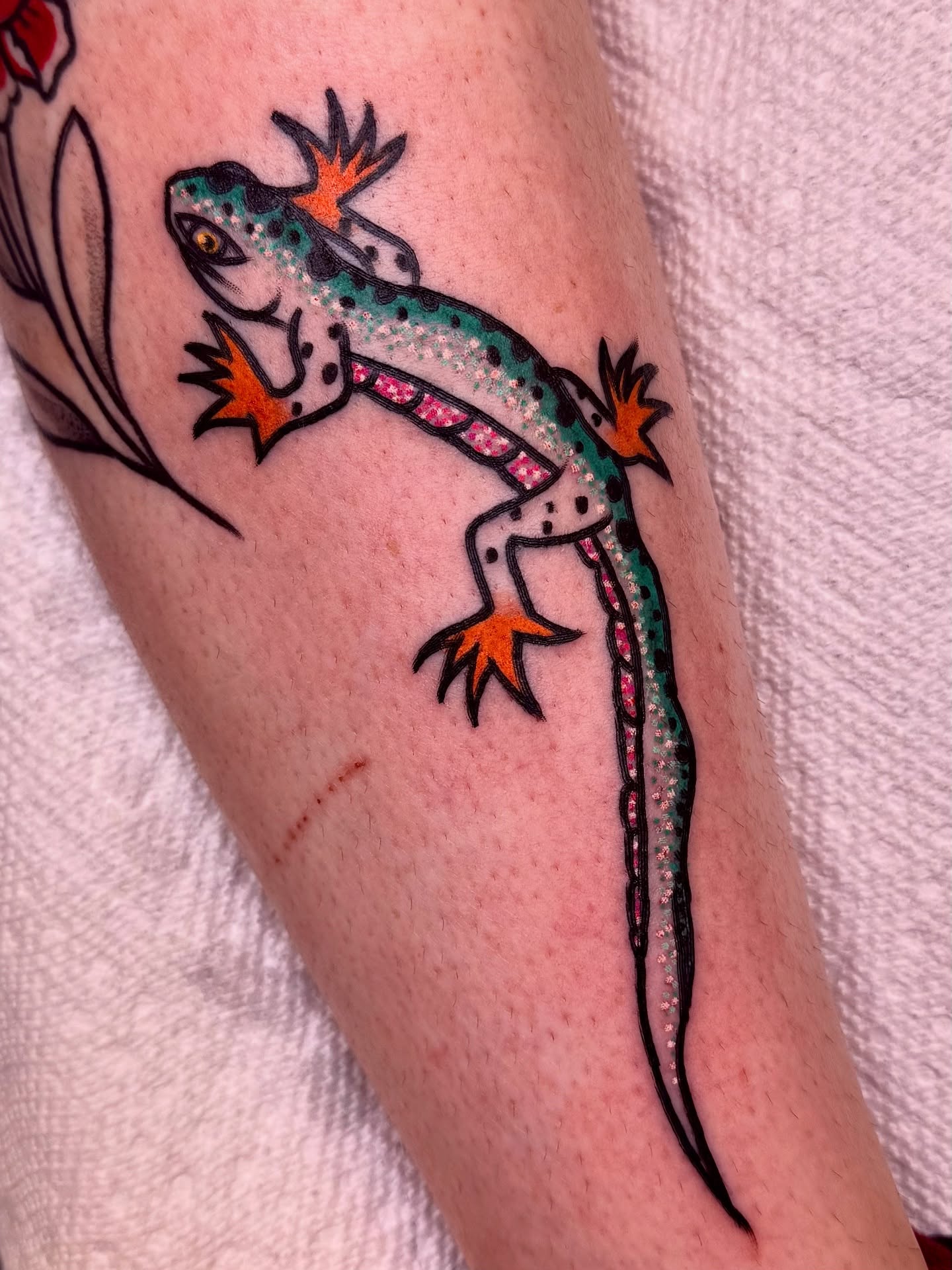 Tattoo by @sodablob — american_traditional