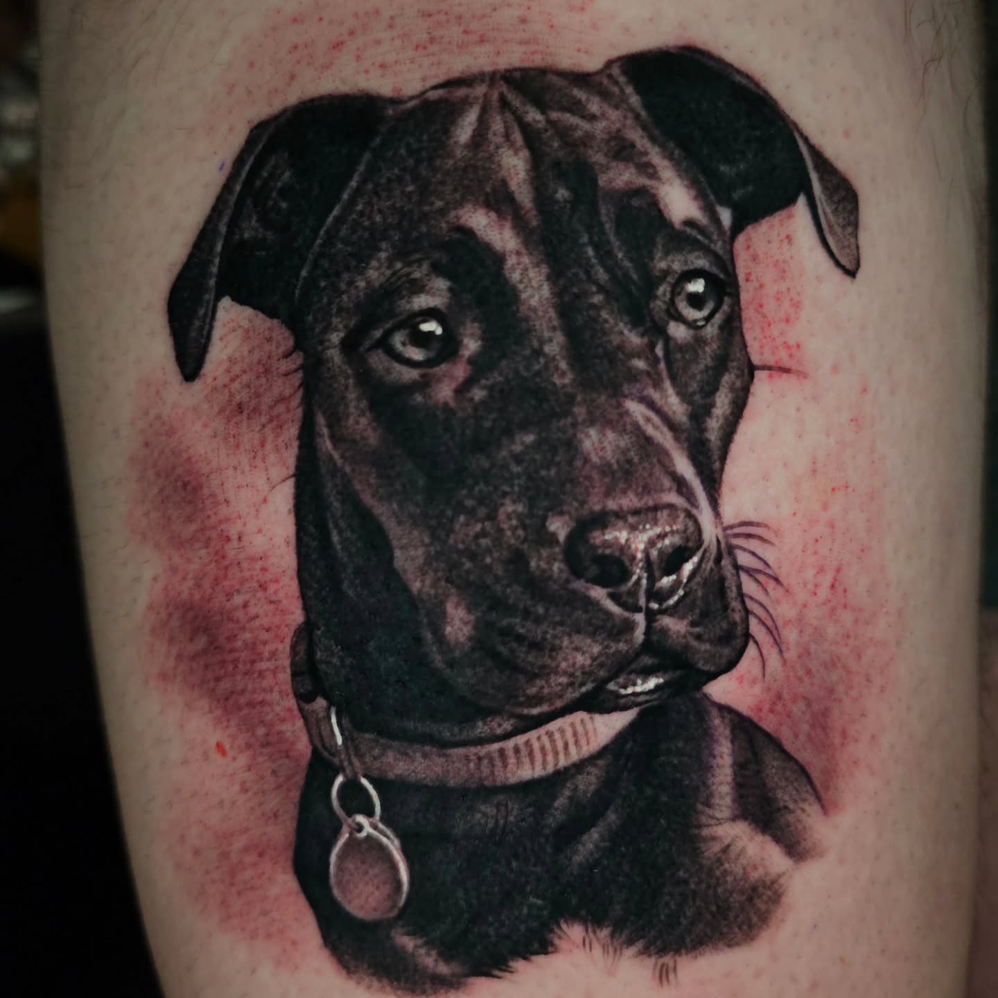 Tattoo by @tattoosmadebysomeone — realism