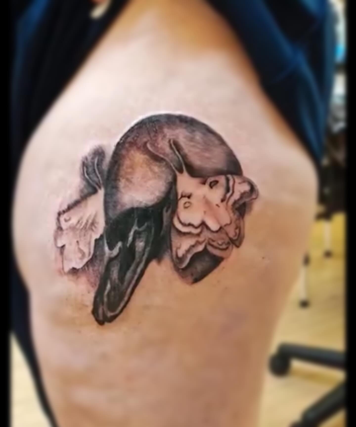 Bull head with wings realism tattoo on the thigh by Sebastiana