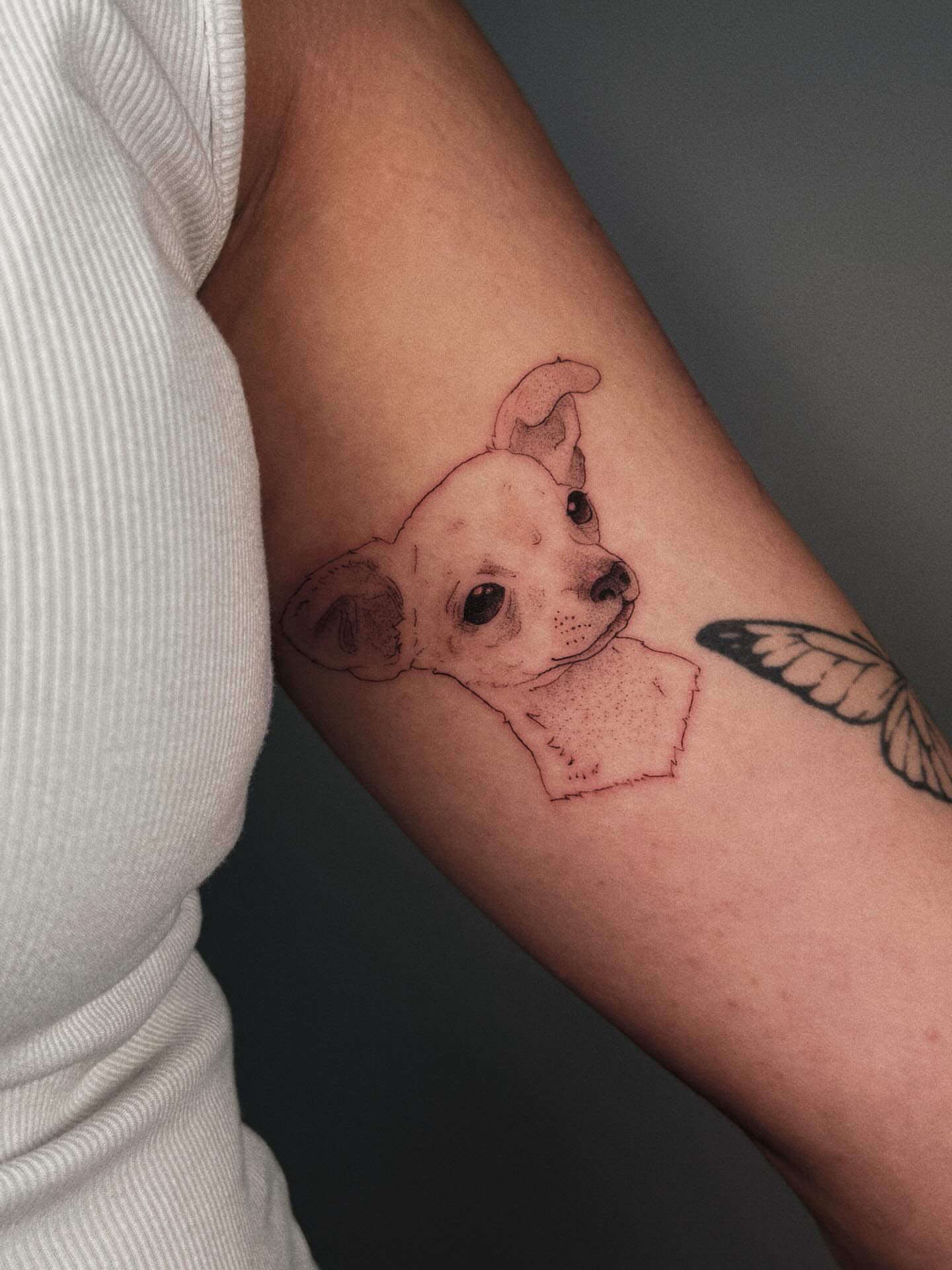 Chihuahua realism tattoo on the forearm by Paulina Vazquez