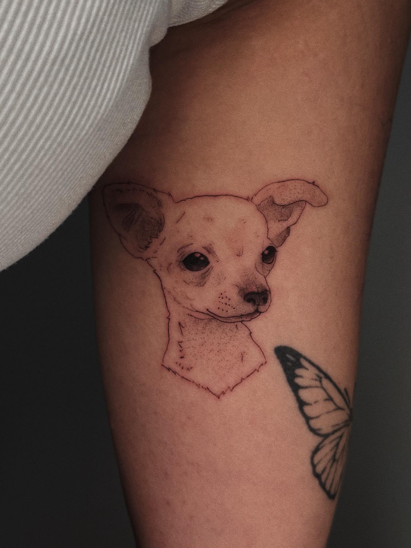 Chihuahua realism tattoo on the forearm by Paulina Vazquez