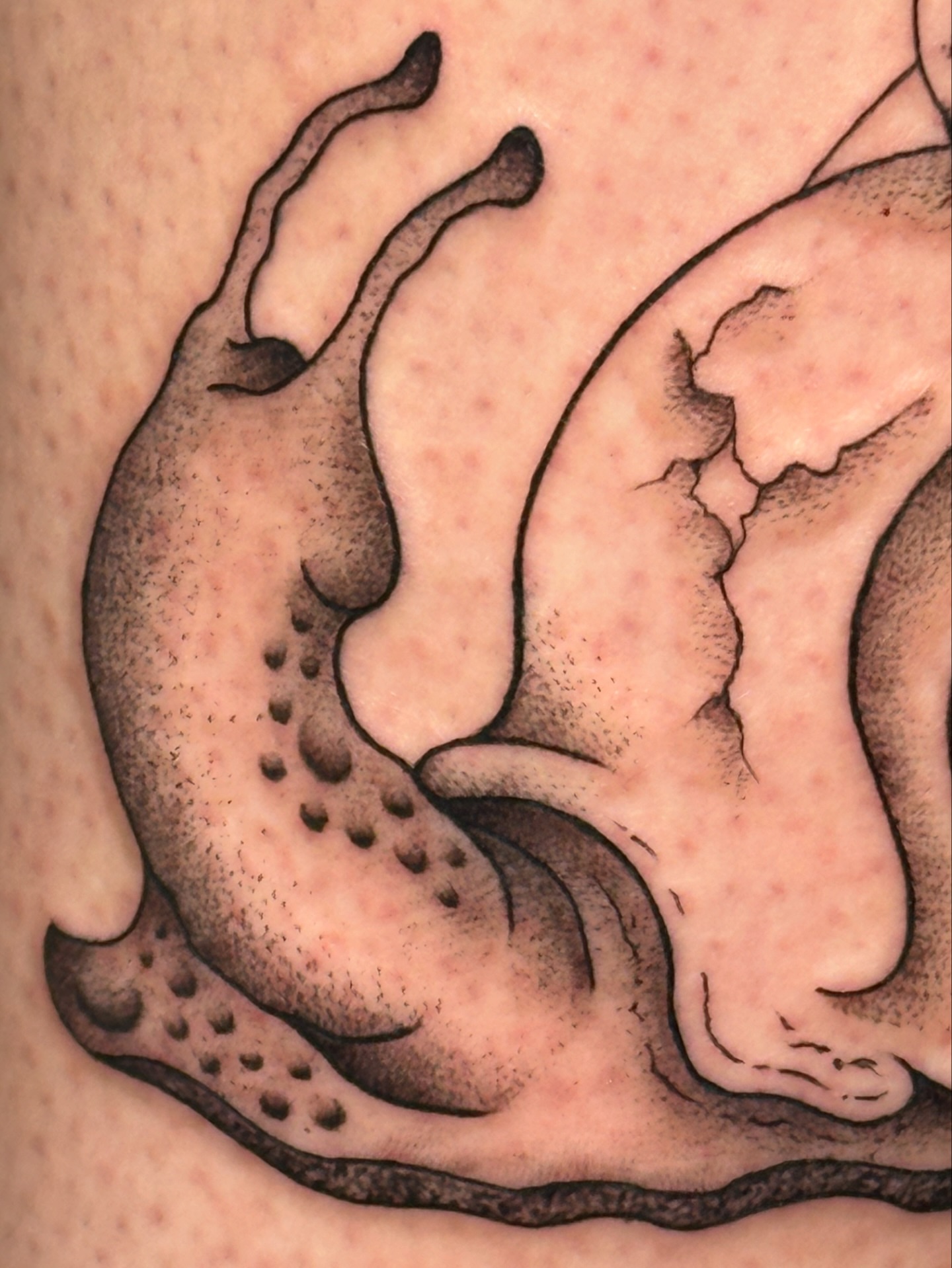 Tattoo by @guayabaiqueso — dotwork