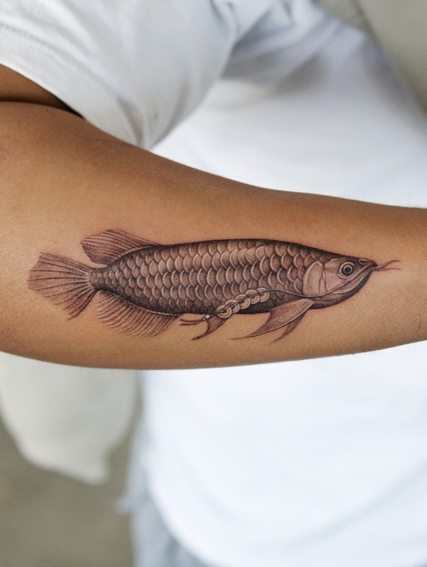 Fish realism tattoo on the forearm by Ray Quinday