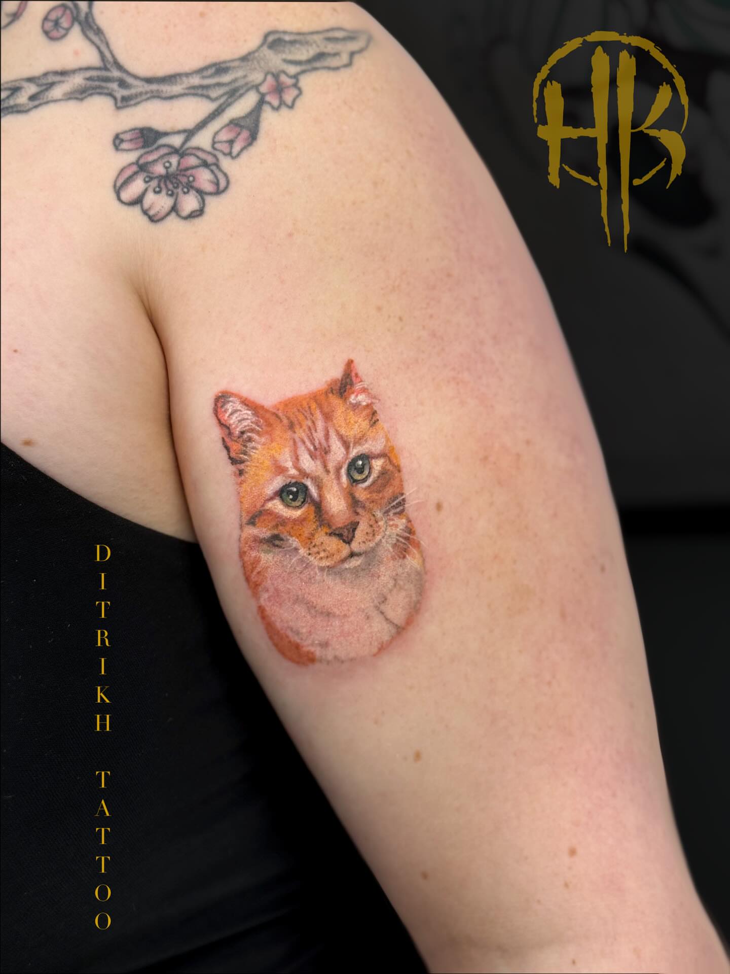 Cat realism tattoo on the shoulder by KET, Calgary, Alberta