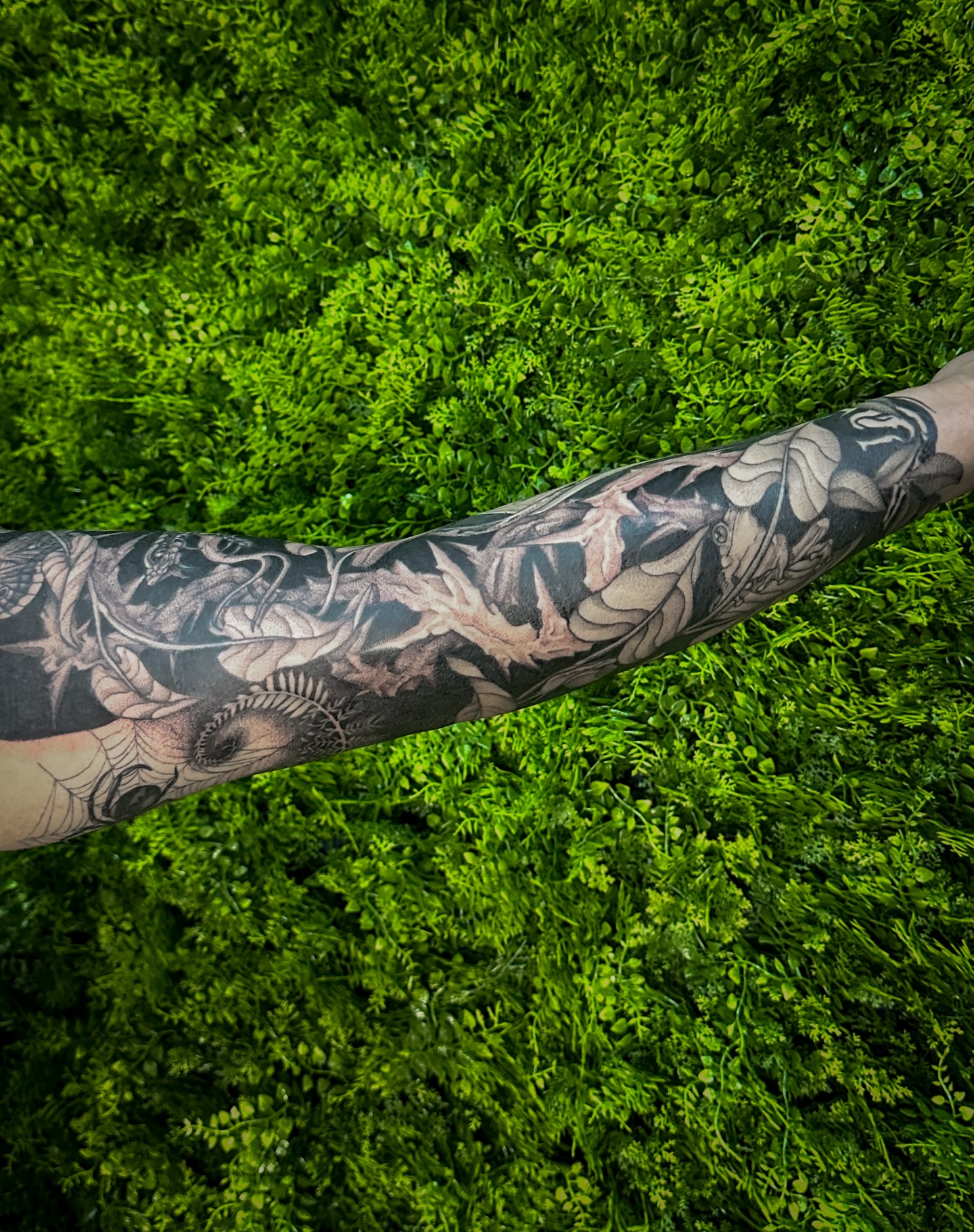 Botanical illustration realism tattoo on the forearm by 𝑰𝒍𝒍𝒖𝒔𝒕𝒓𝒂𝒕𝒊𝒗𝒆 𝑵𝒂𝒕𝒖𝒓𝒆 𝑻𝒂𝒕𝒕𝒐𝒐 𝑨𝒓𝒕𝒊𝒔𝒕