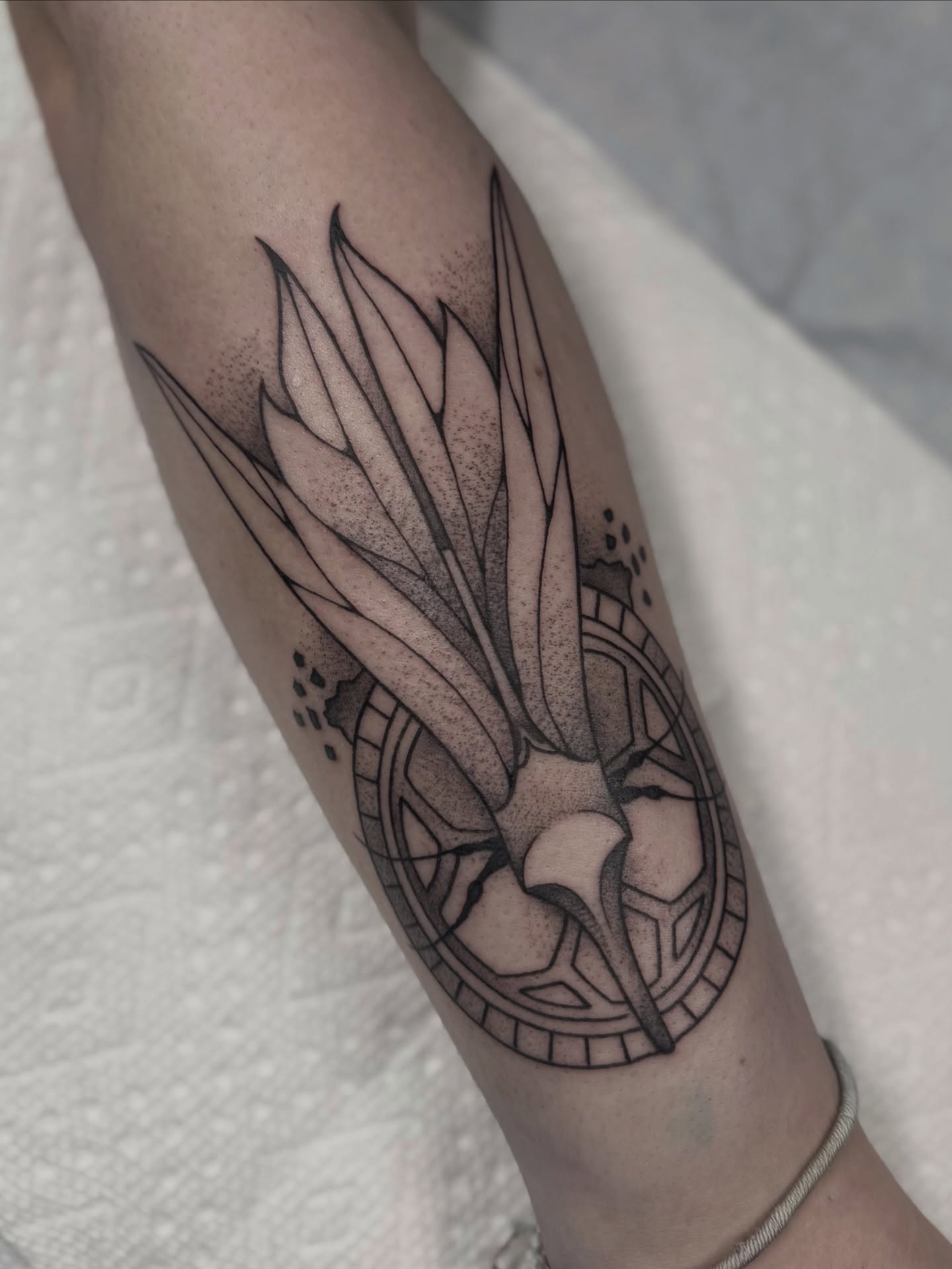 Phoenix dotwork tattoo on the forearm by Ally Ghastly, Eugene, Oregon