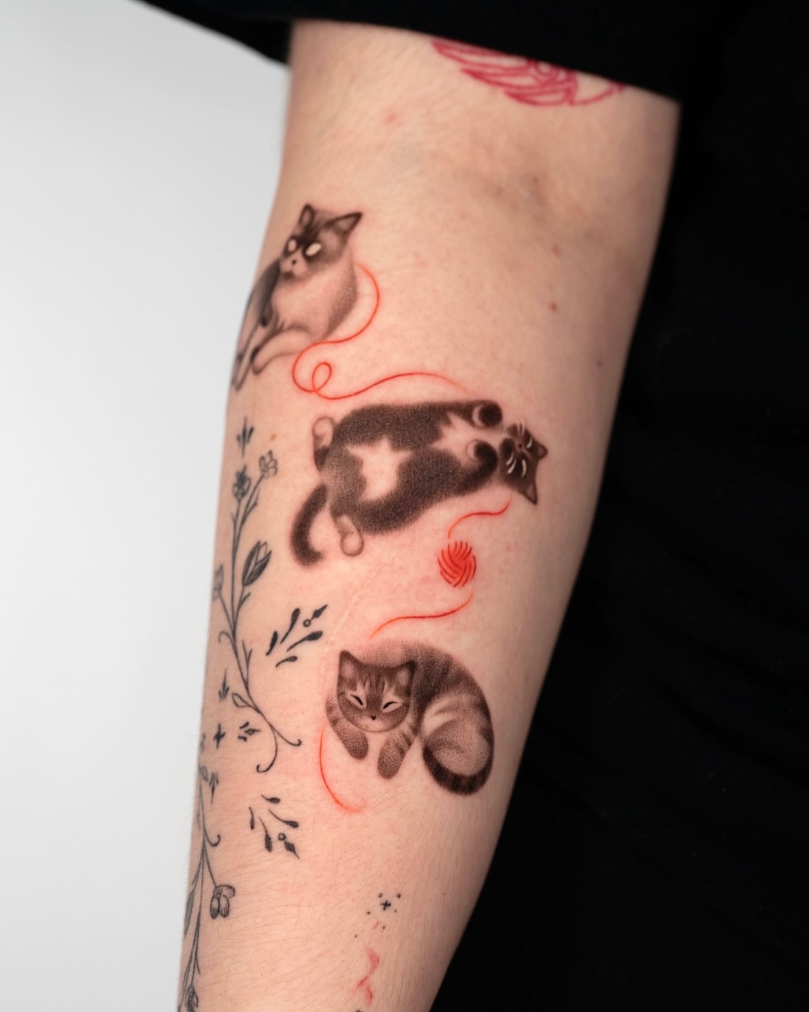 Cats dotwork tattoo on the forearm by Toki