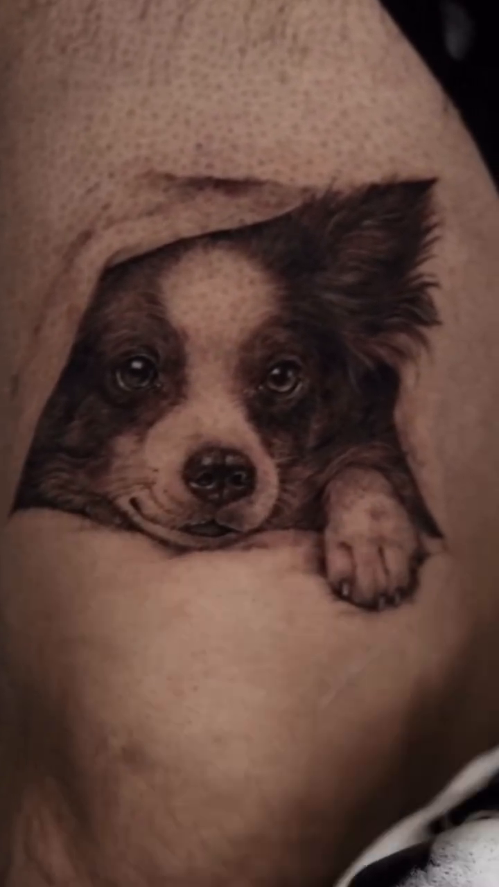 Dog peeking out realism tattoo by Milk Tattoos 🇸🇻🇪🇸