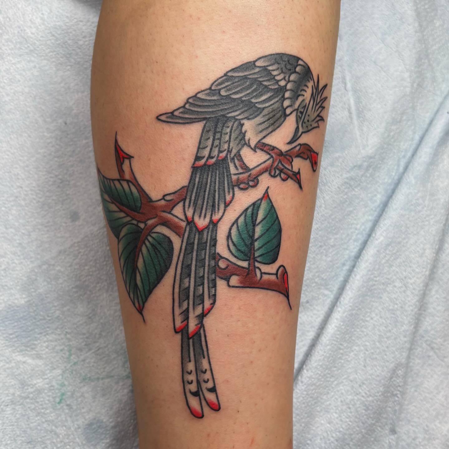 Bird perched on branch American traditional tattoo on the forearm by Evan Bisso, Philadelphia, Pennsylvania