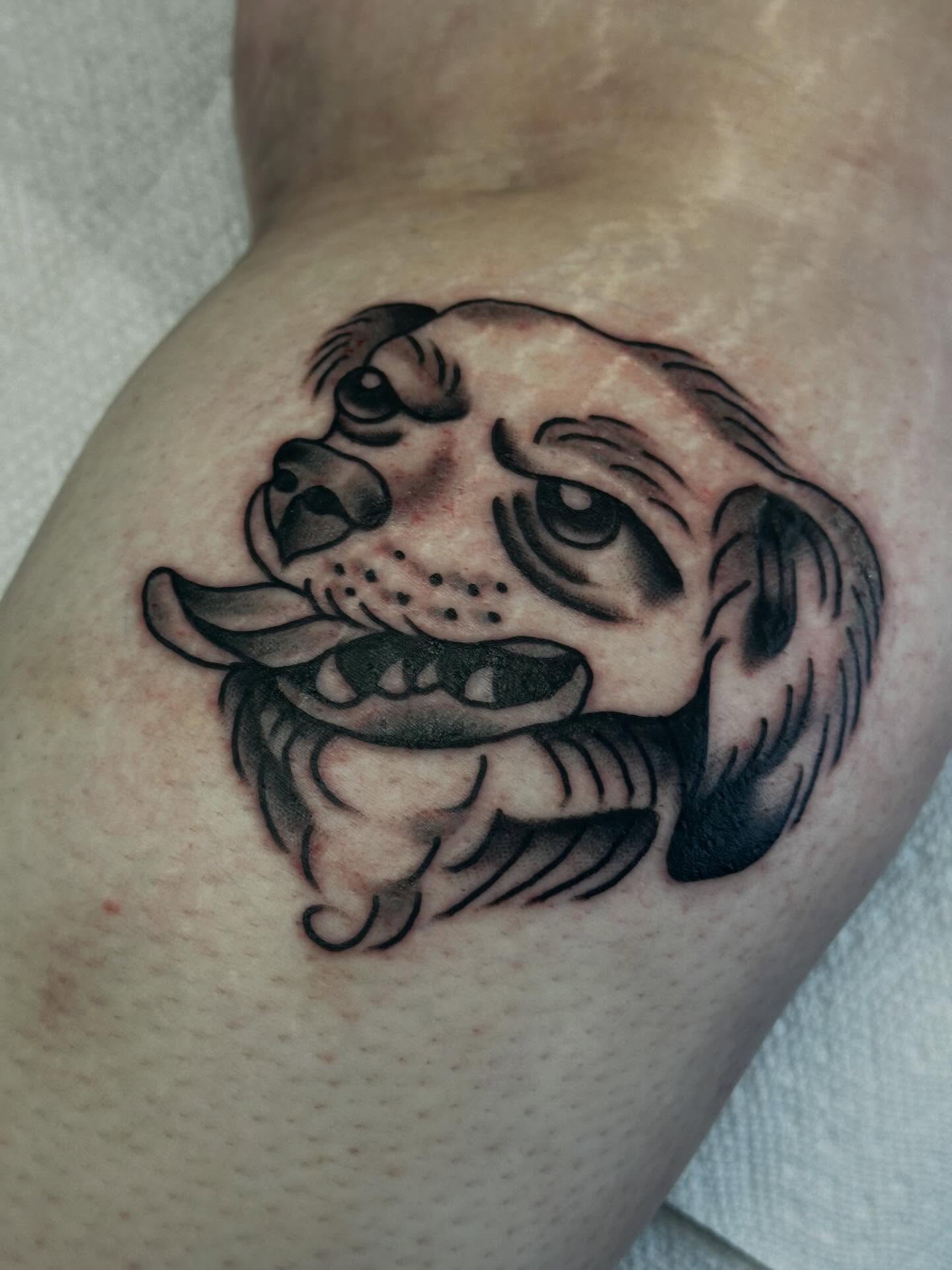Bulldog black and grey tattoo on the thigh by Elisha B🦷