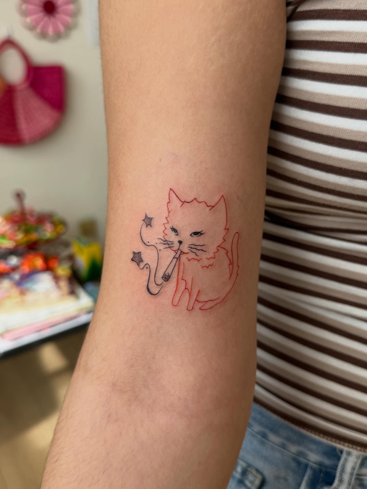 Cat fine line tattoo on the forearm by Rachel ˚⊱🪷⊰˚ 芷若, Des Moines, Iowa