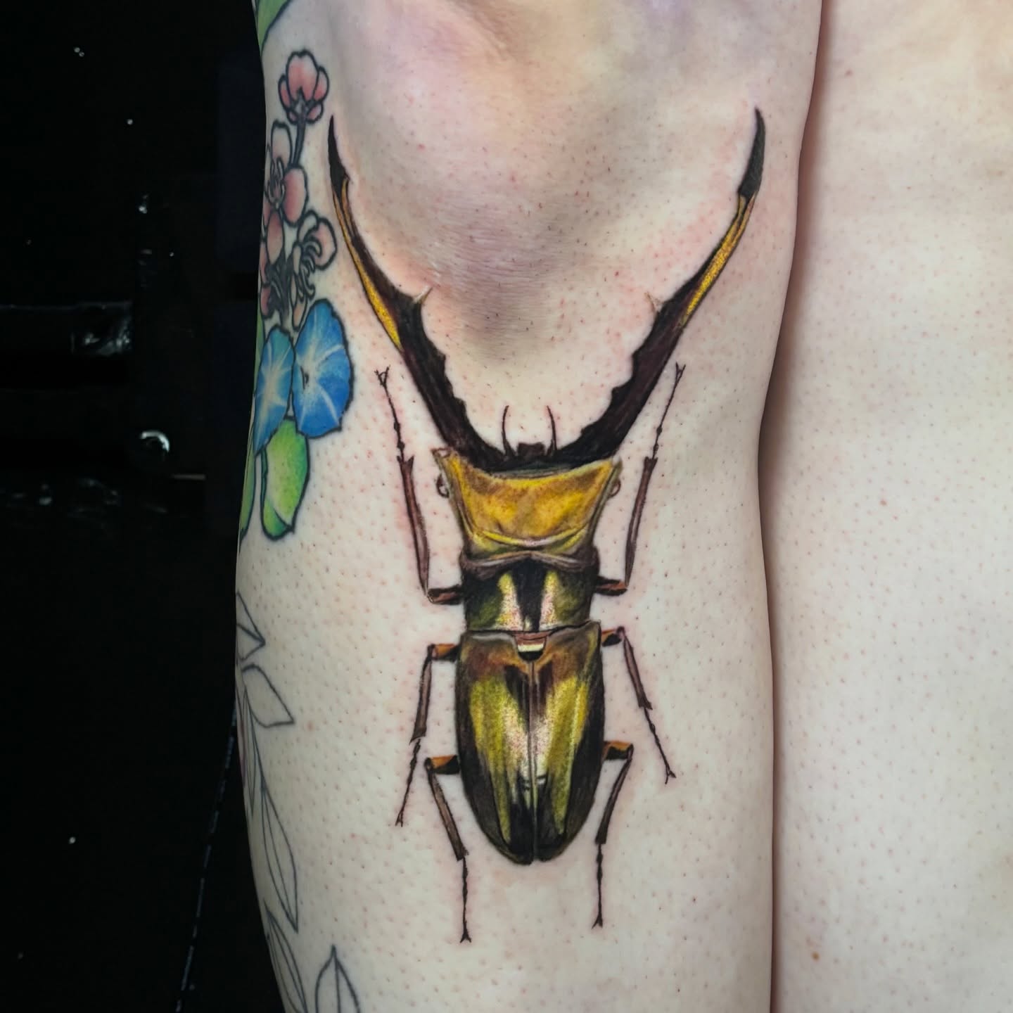 Stag beetle realism tattoo on the thigh by jordy