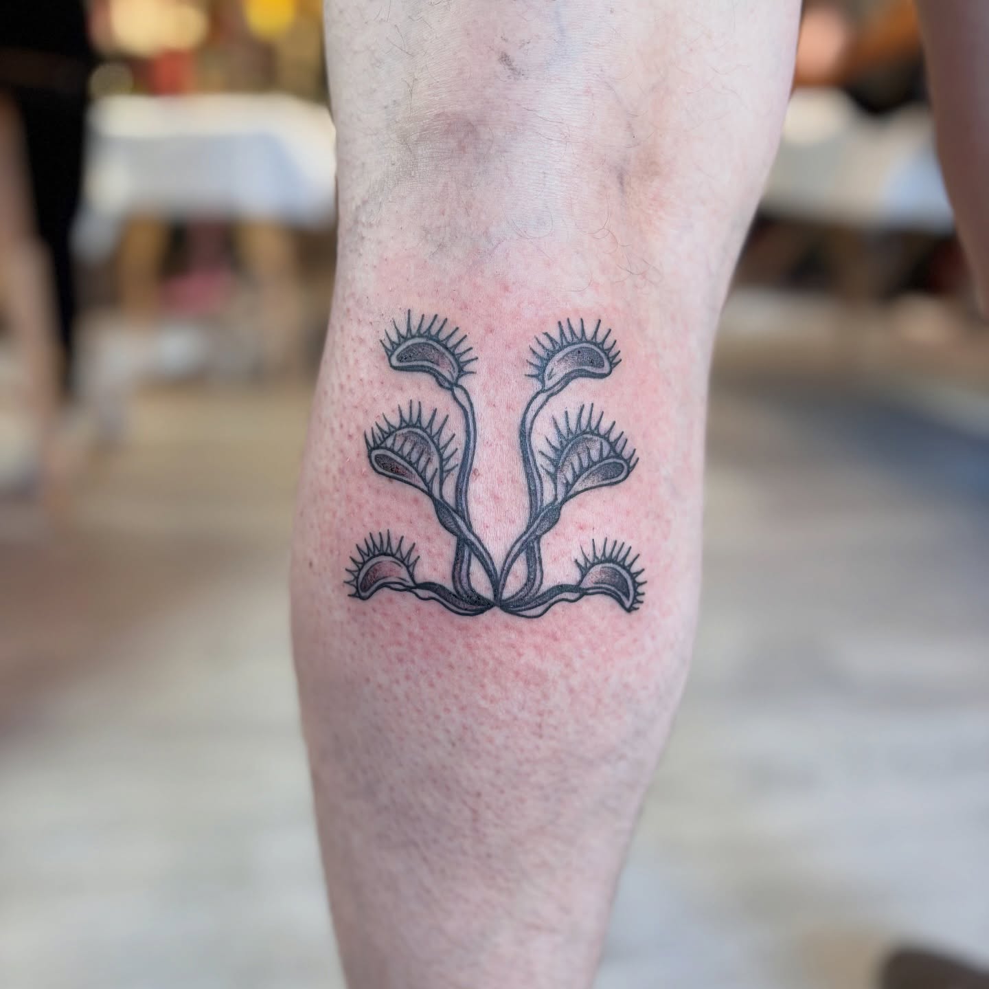 Venus flytrap black and grey tattoo on the forearm by Meg Ingersoll