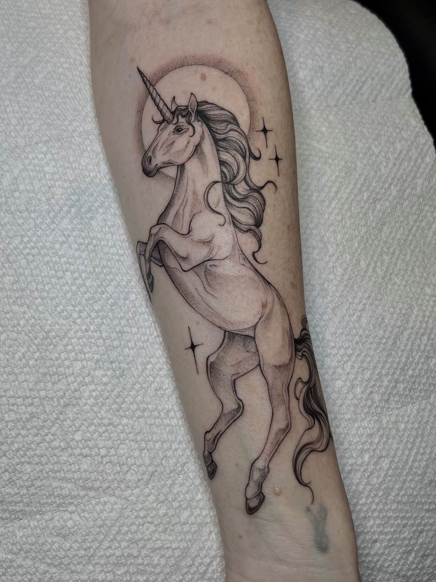 Unicorn black and grey tattoo on the forearm by Tehnaya