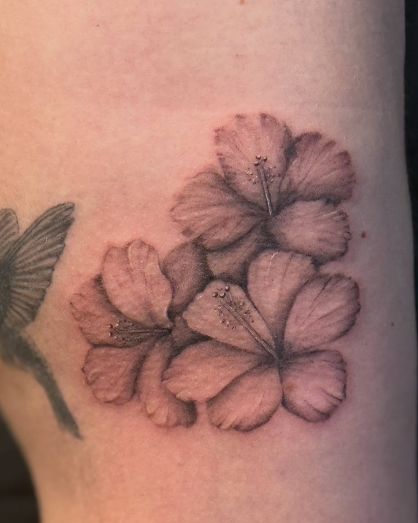 Tattoo by @inkbysana — black_and_grey