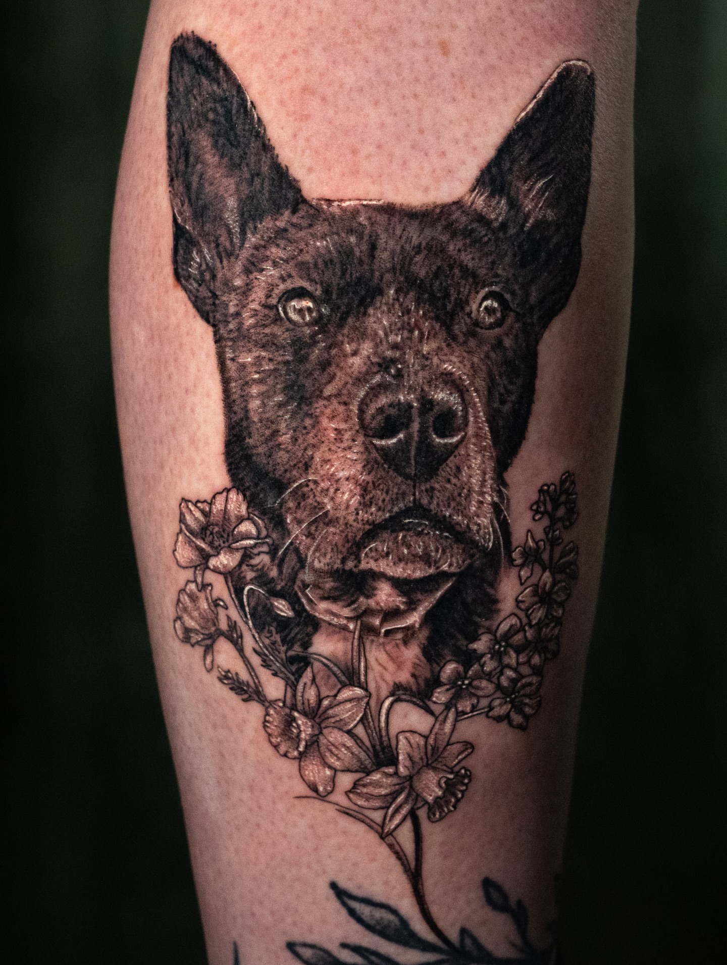 Dog portrait realism tattoo on the forearm by ℝ𝕚𝕔𝕜 ℂ𝕙𝕚𝕣𝕕𝕠𝕟