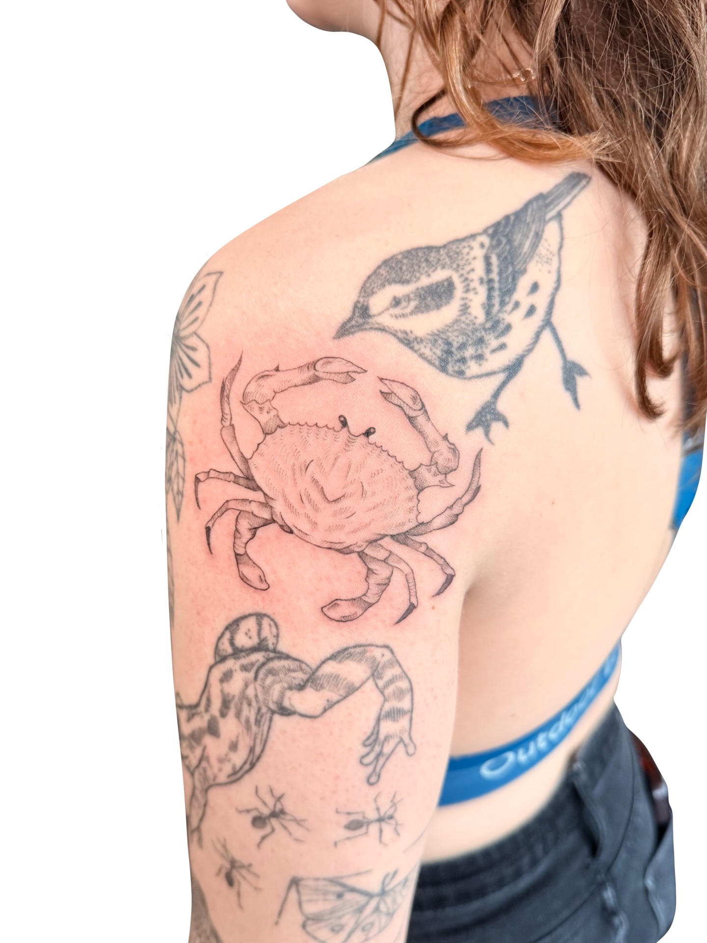 Crab and bird black and grey tattoo on the shoulder by Fionna, Seattle, Washington