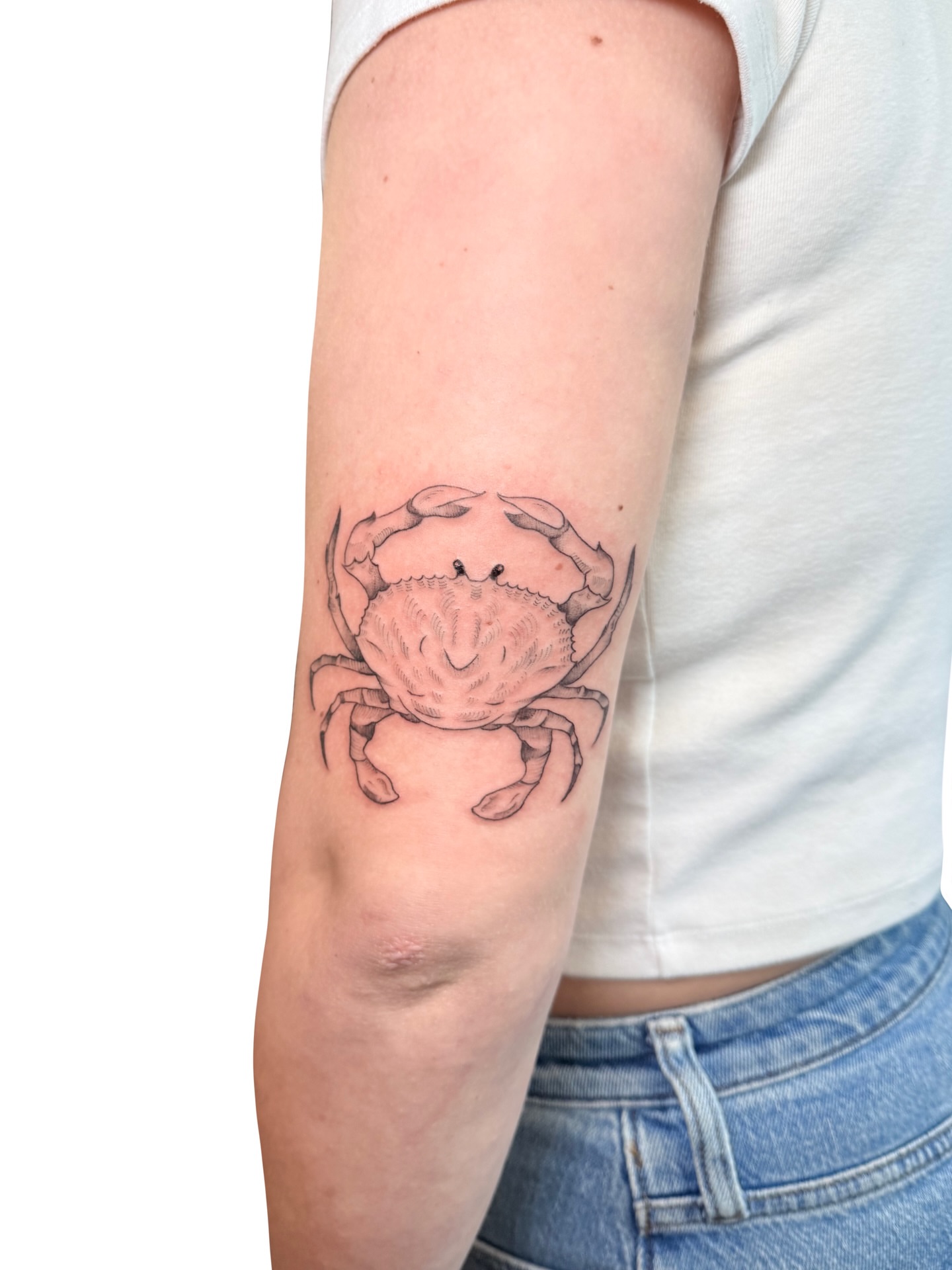 Crab realism tattoo on the forearm by Fionna, Seattle, Washington