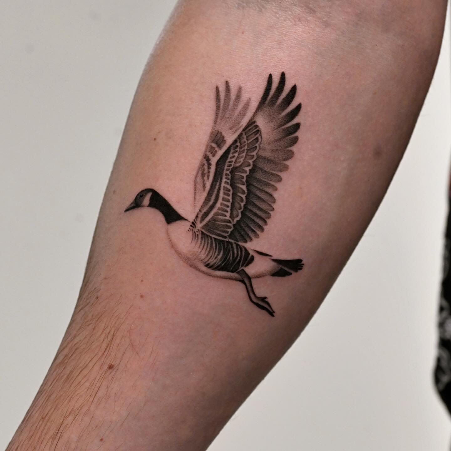 Tattoo by @domcozzaart — black_and_grey