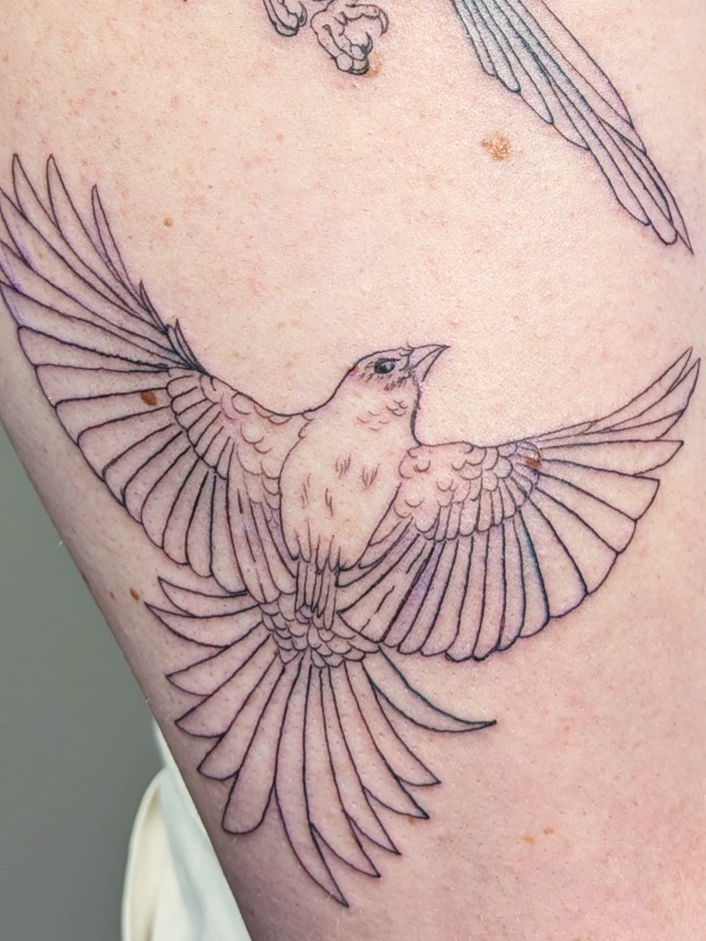 Tattoo by @jadektattoos — fine_line
