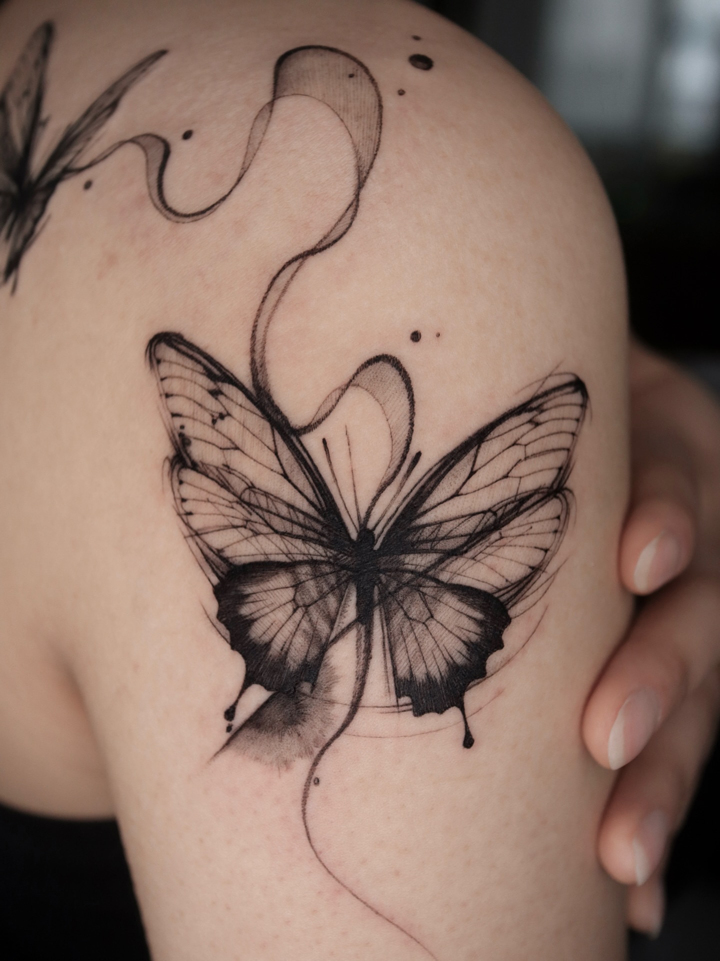 Butterfly black and grey tattoo on the shoulder by @tattoo_chamsae