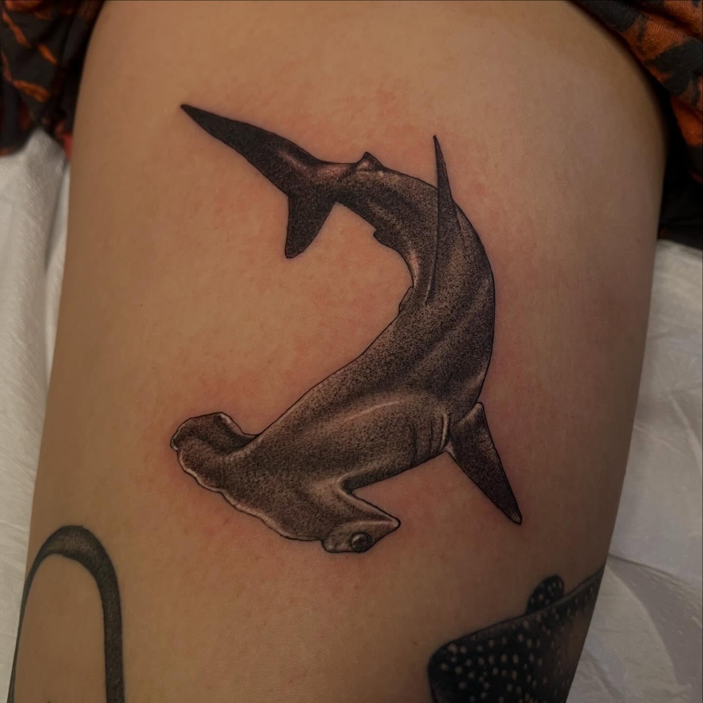 Hammerhead shark black and grey tattoo on the thigh by Adam Habecker