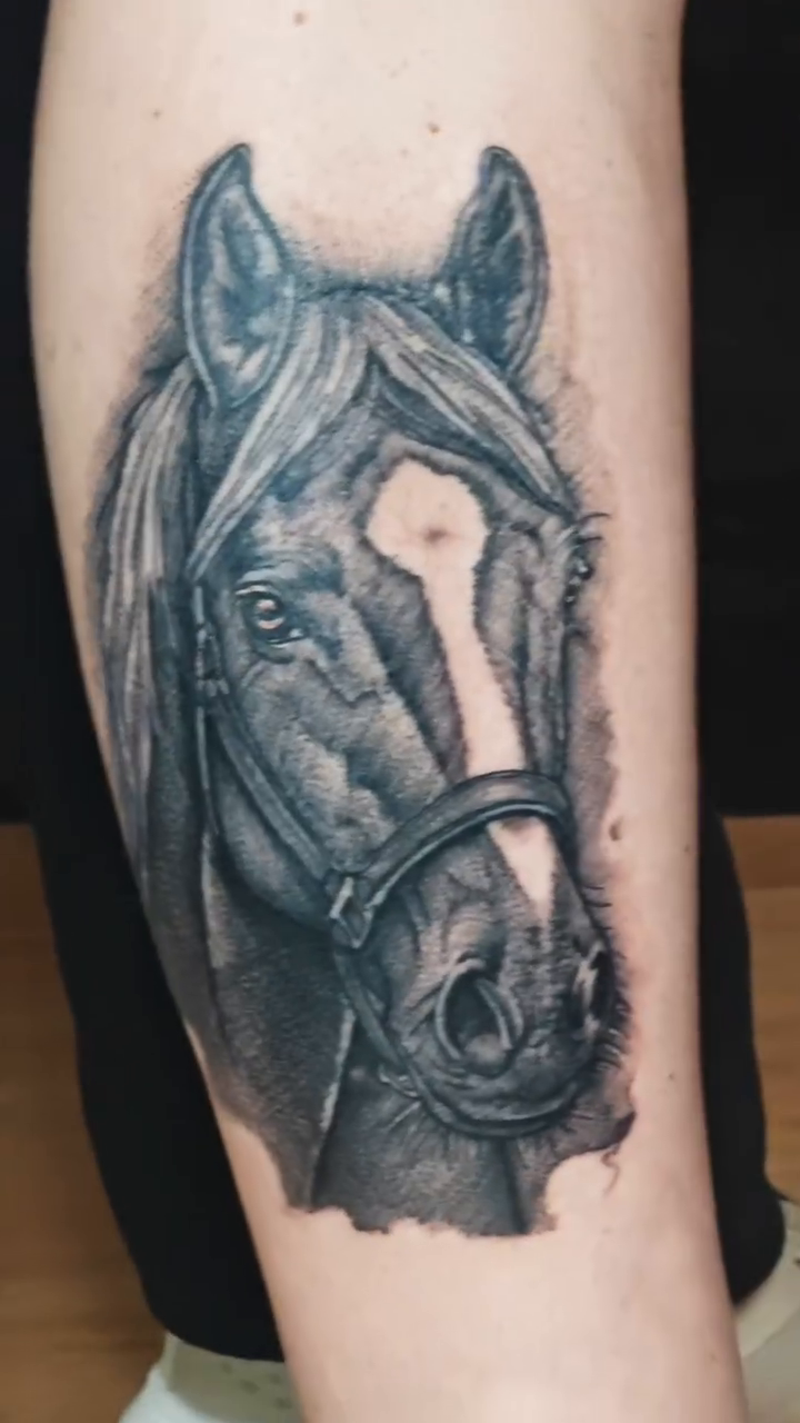 Horse portrait realism tattoo on the forearm by Juanma Martin