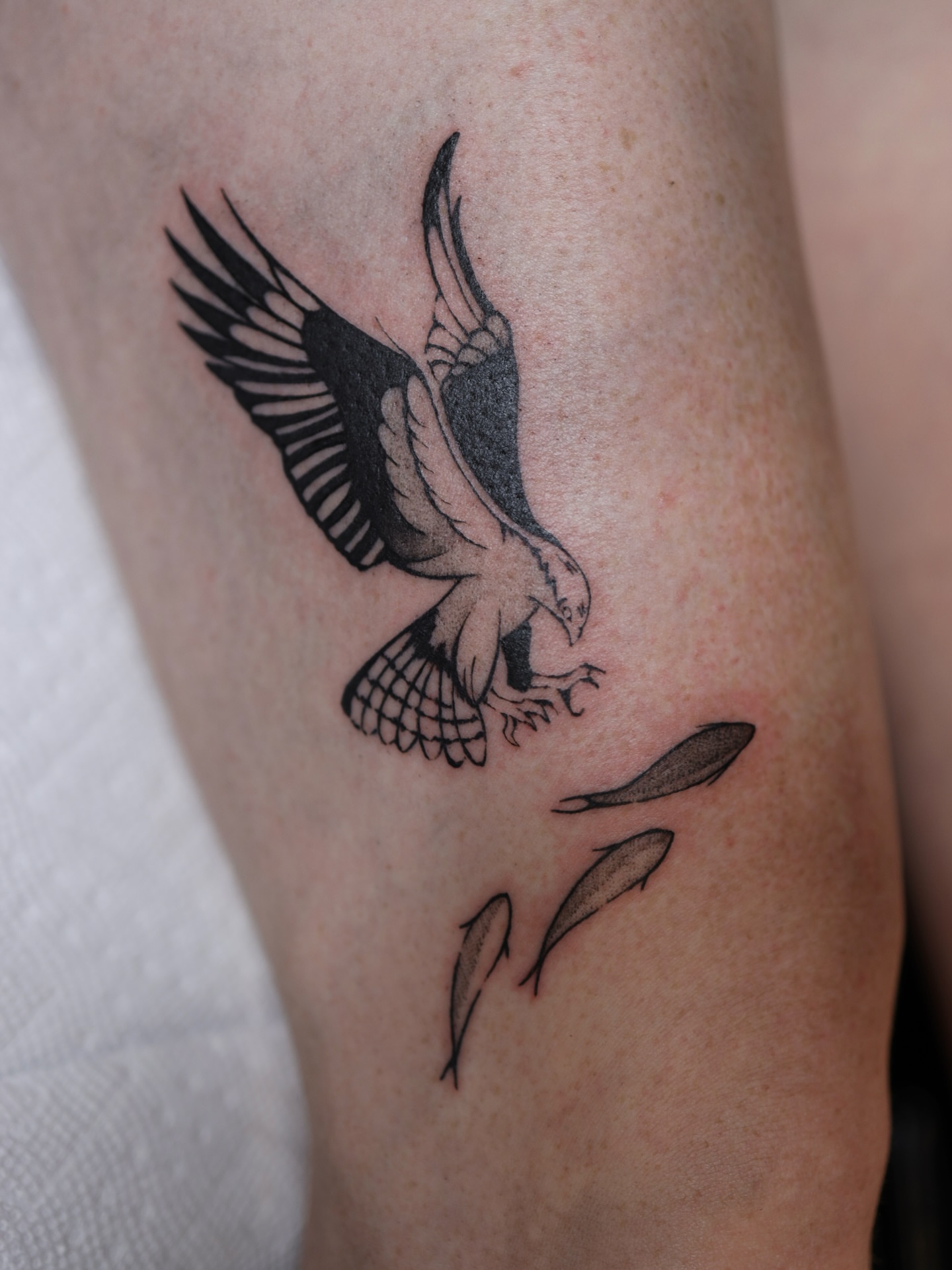 Hawk black and grey tattoo on the forearm by morgan purcey