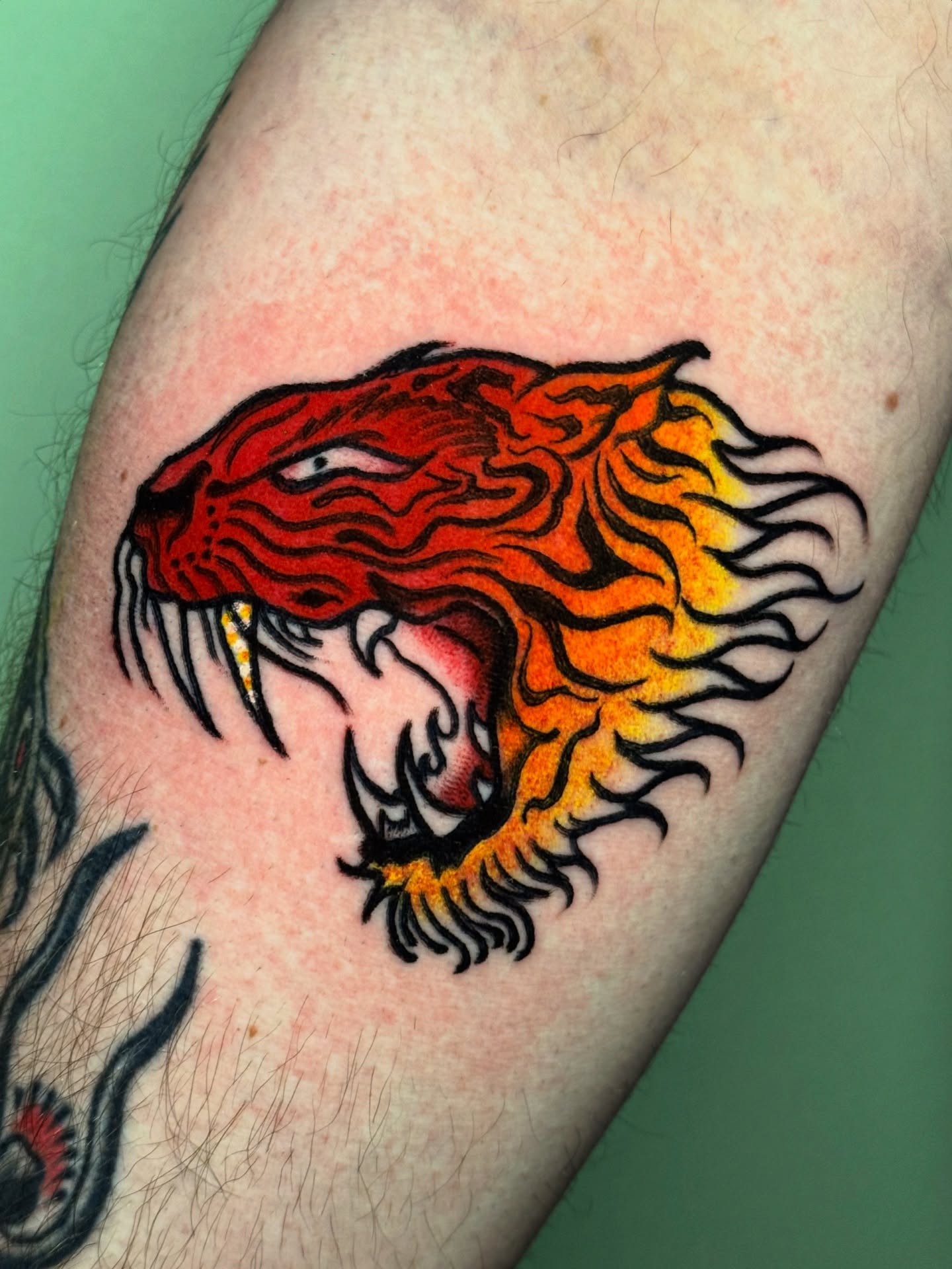 Flaming tiger head neo-traditional tattoo on the forearm by Mitch McGarry